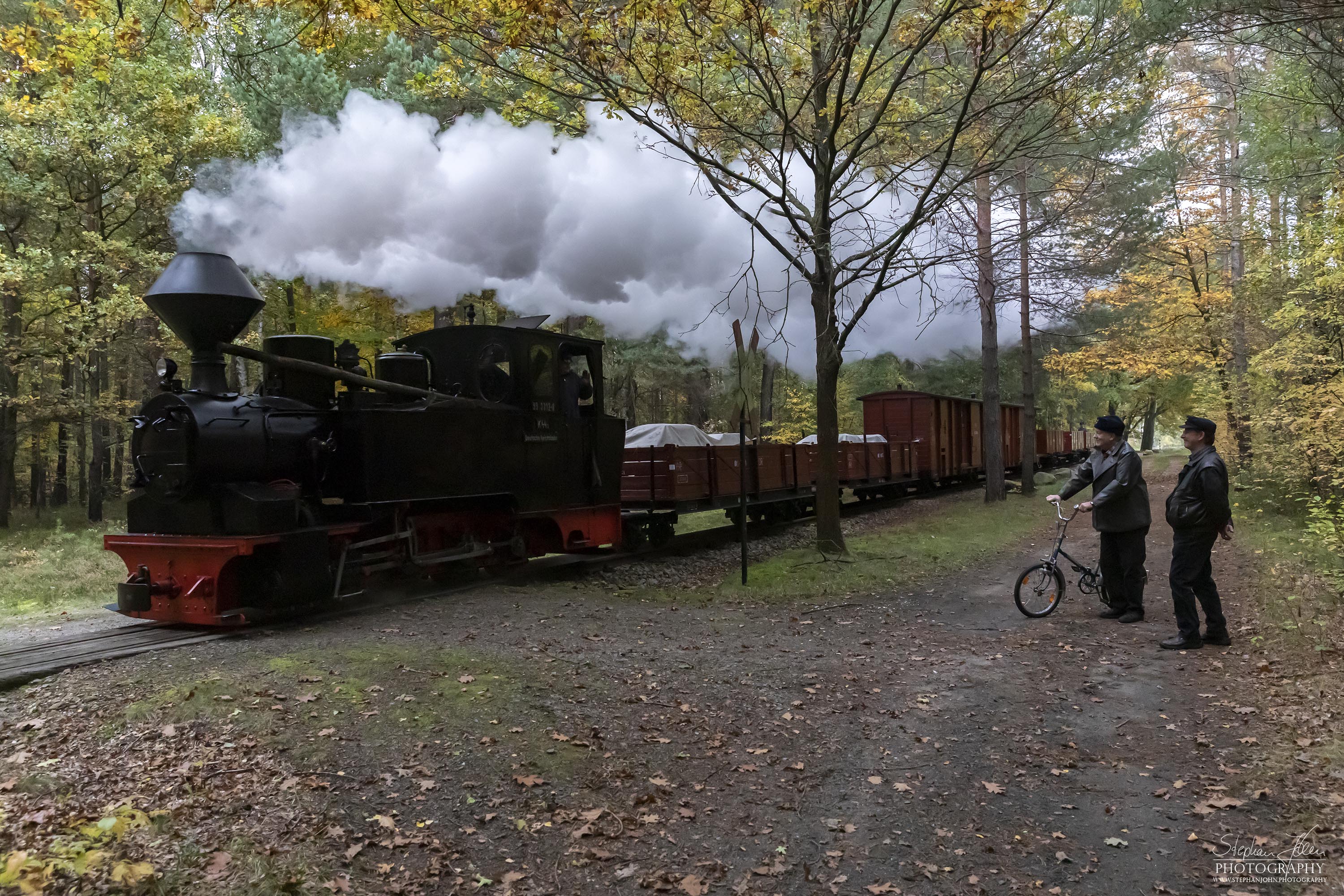 Lok 99 3312-8 mit einem Güterzug von Bad Muskau in Richtung Weißwasser dampft durch den bunten Herbstwald