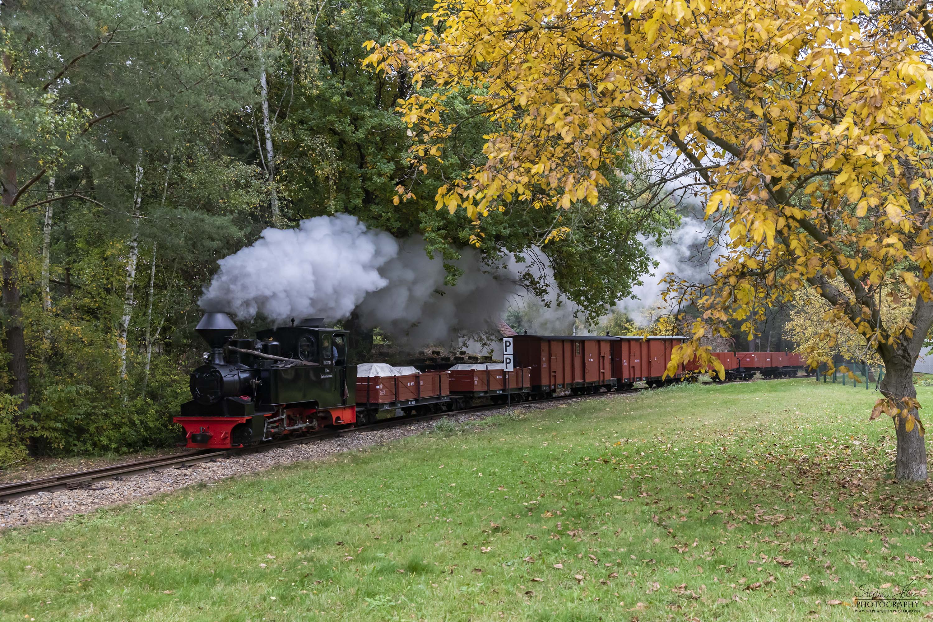 Lok 99 3312-8 mit einem Güterzug von Bad Muskau in Richtung Weißwasser dampft durch den bunten Herbstwald