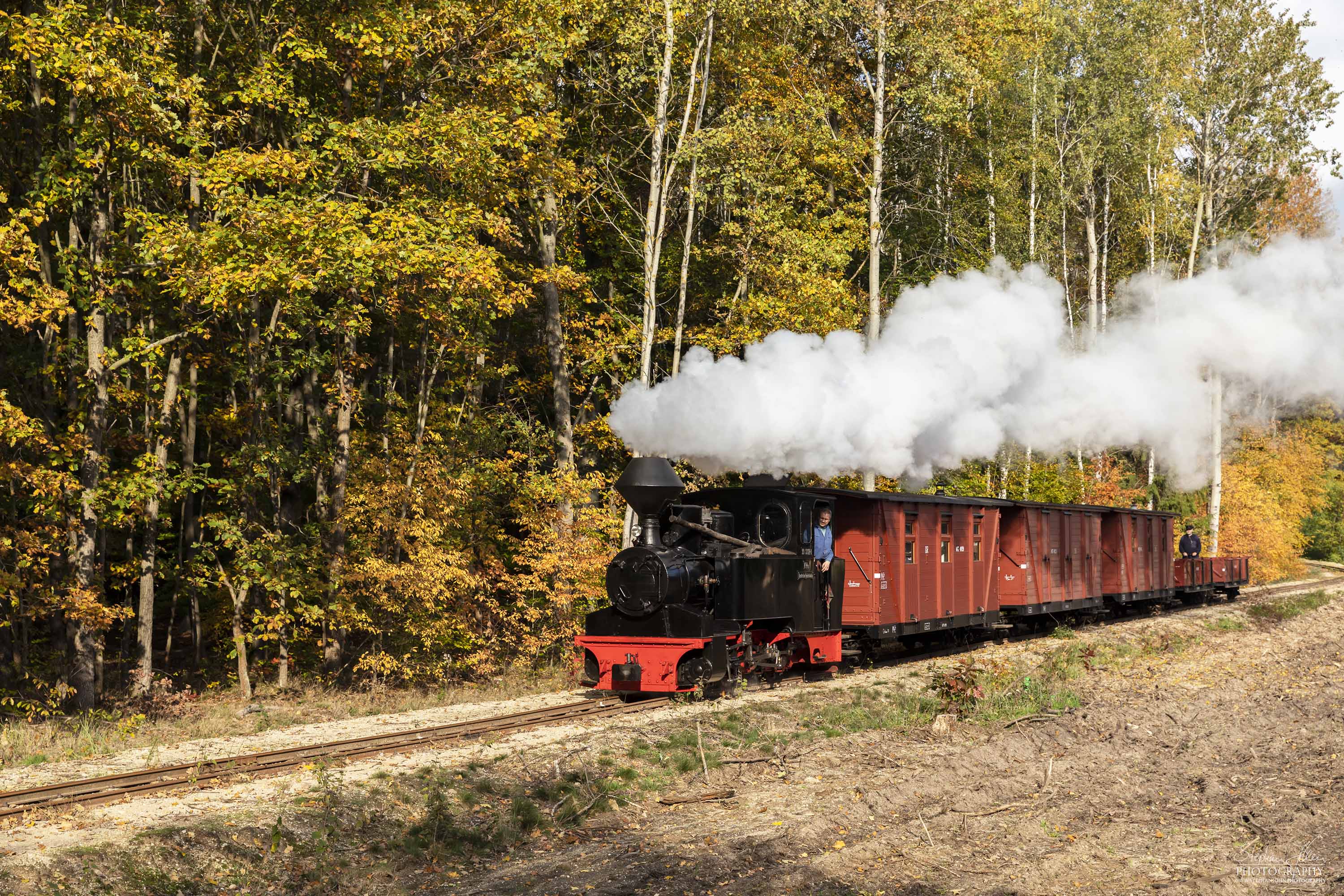 Lok 99 3312 mit einem Güterzug dampft in Richtung Schwerer Berg