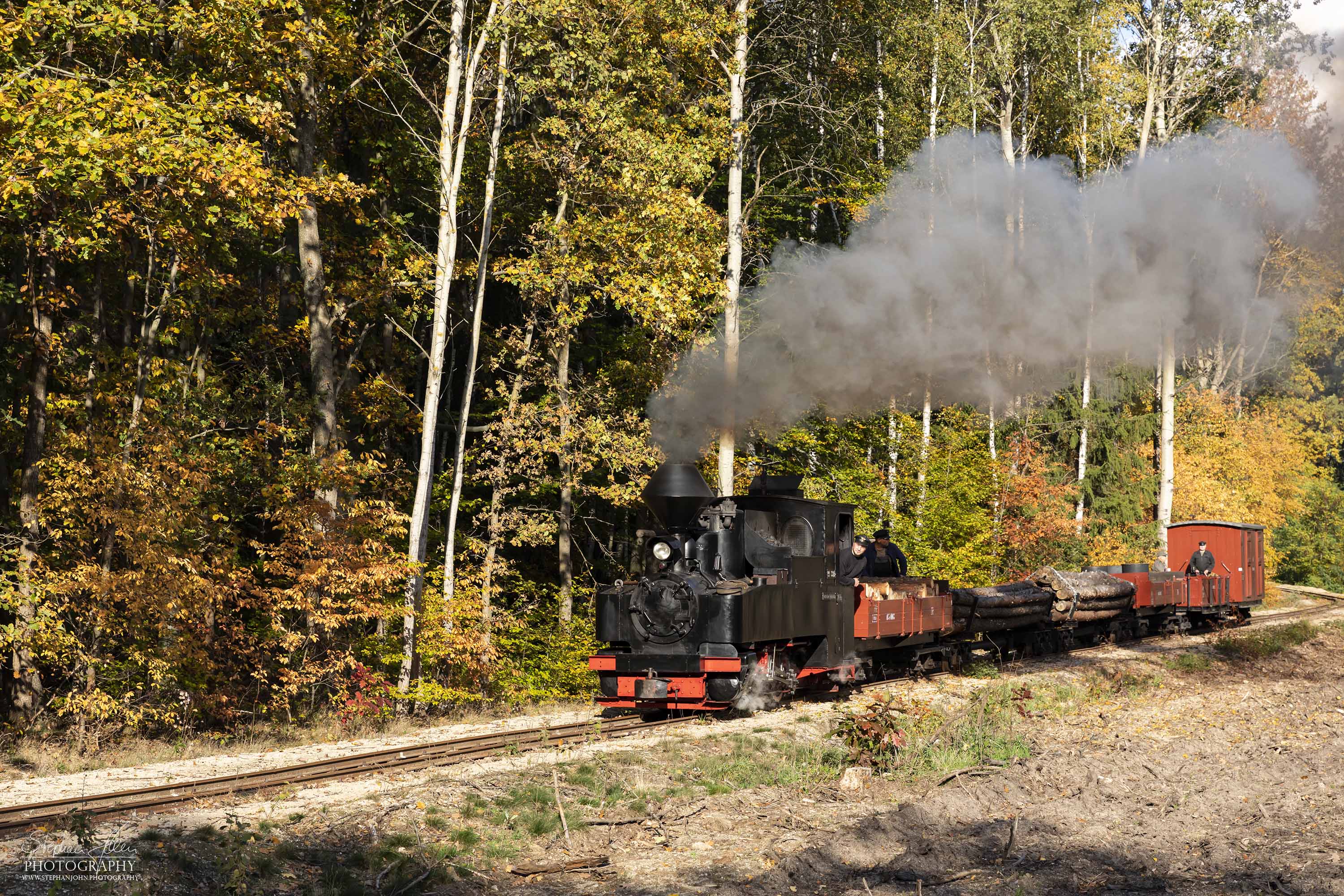 Lok 99 3315 mit einem Holzzug dampft in Richtung Schwerer Berg