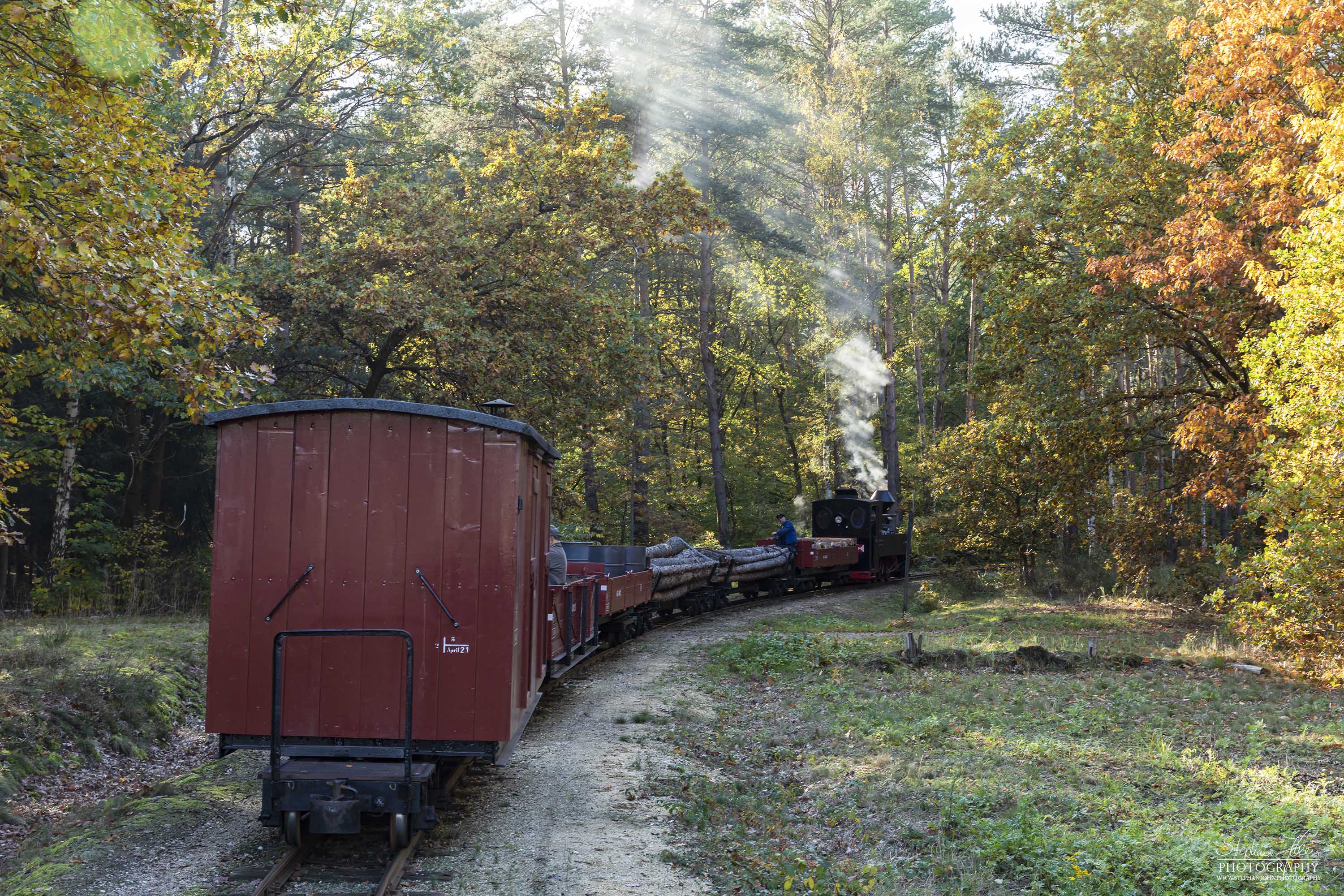 Lok 99 3315 mit einem Holzzug dampft in Richtung Schwerer Berg