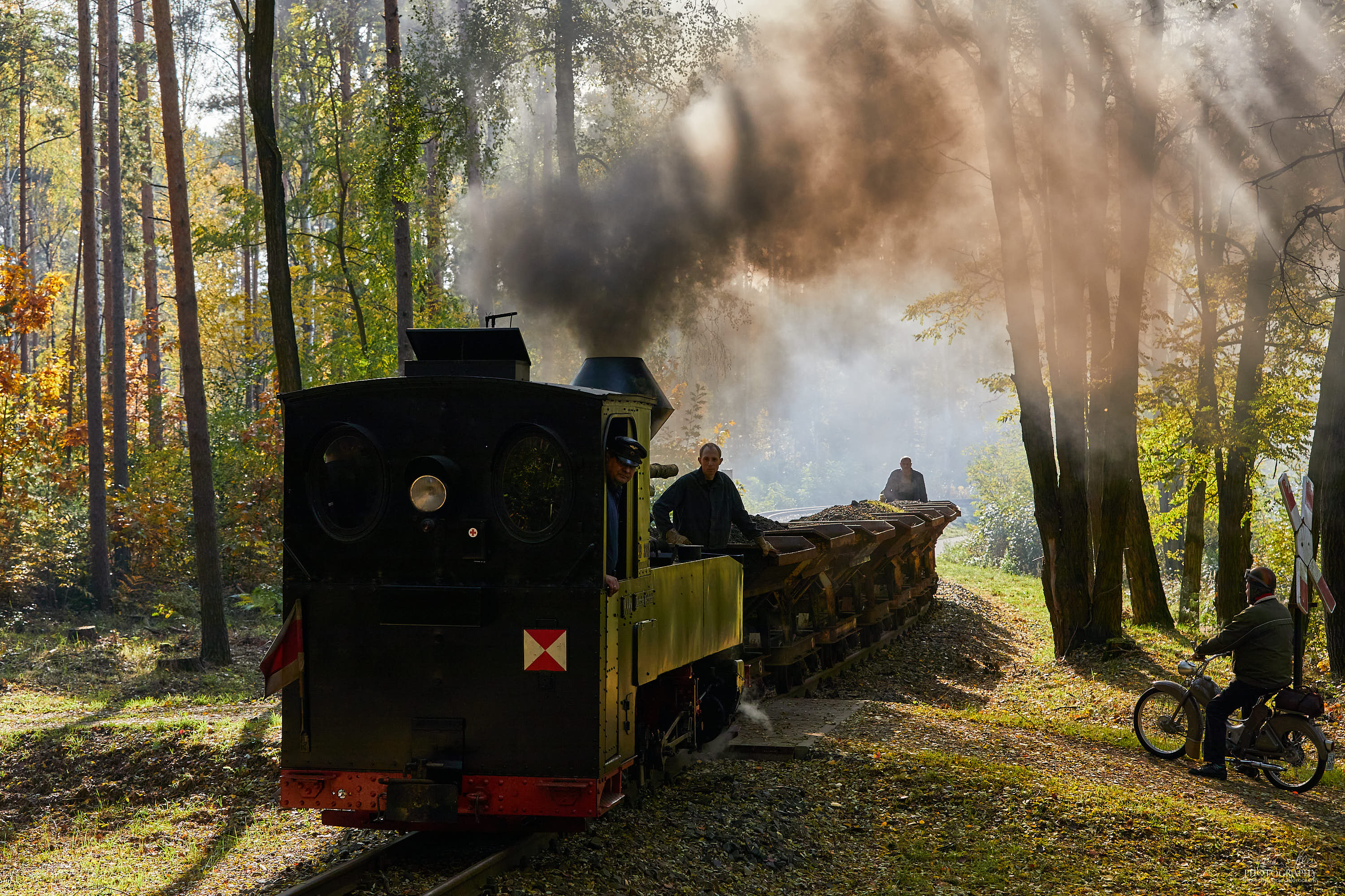 Zug der Waldbahn schnauft die Steigung nach Kromlau hoch
