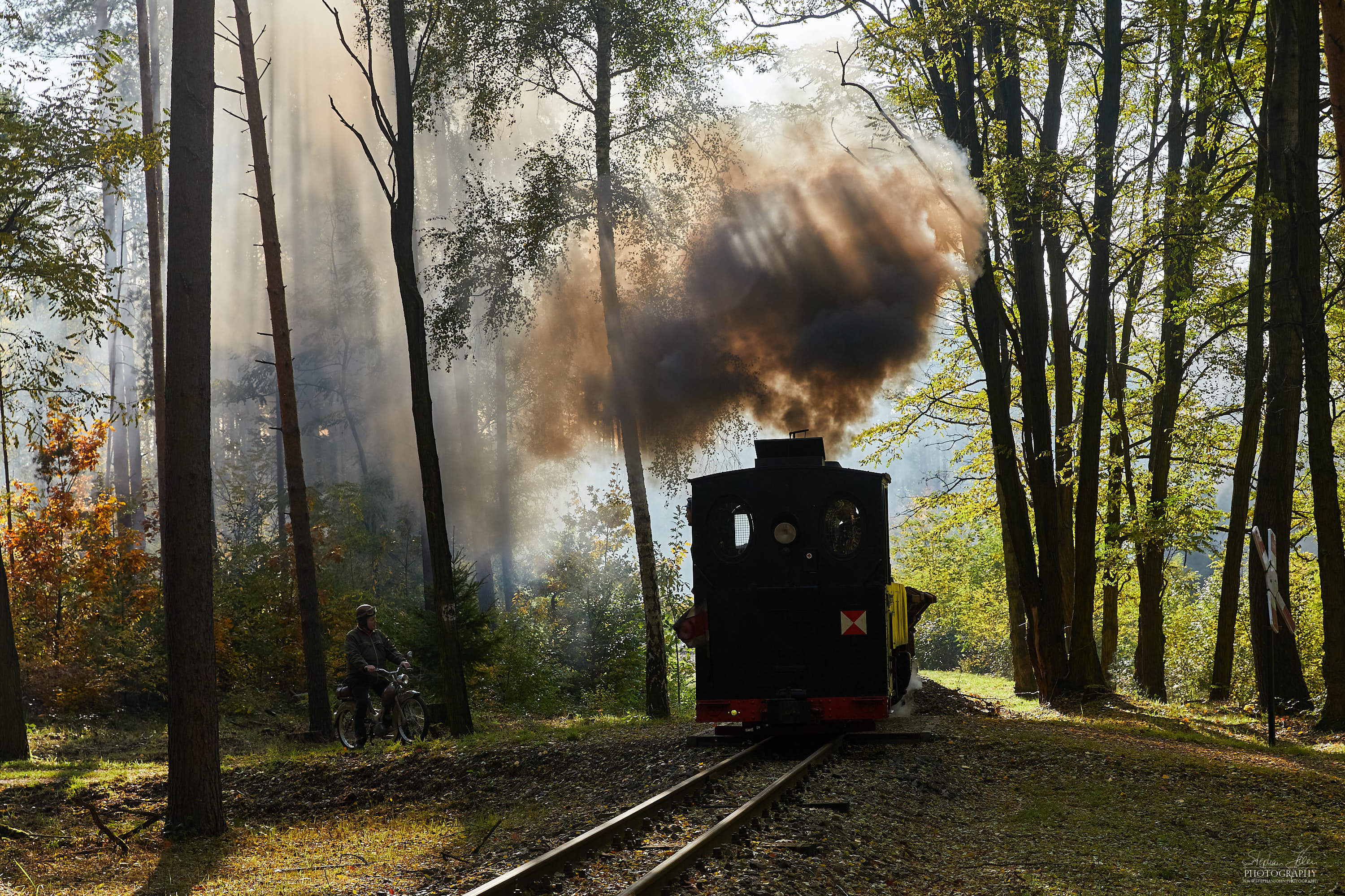 Zug der Waldbahn schnauft die Steigung nach Kromlau hoch