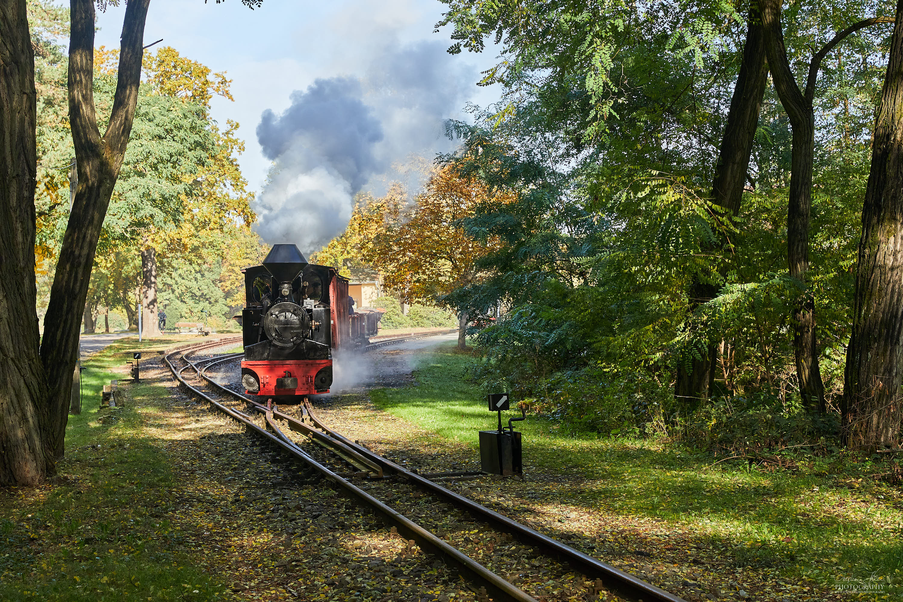 Lok 99 3312-8 verlässt den Bahnhof Kromlau