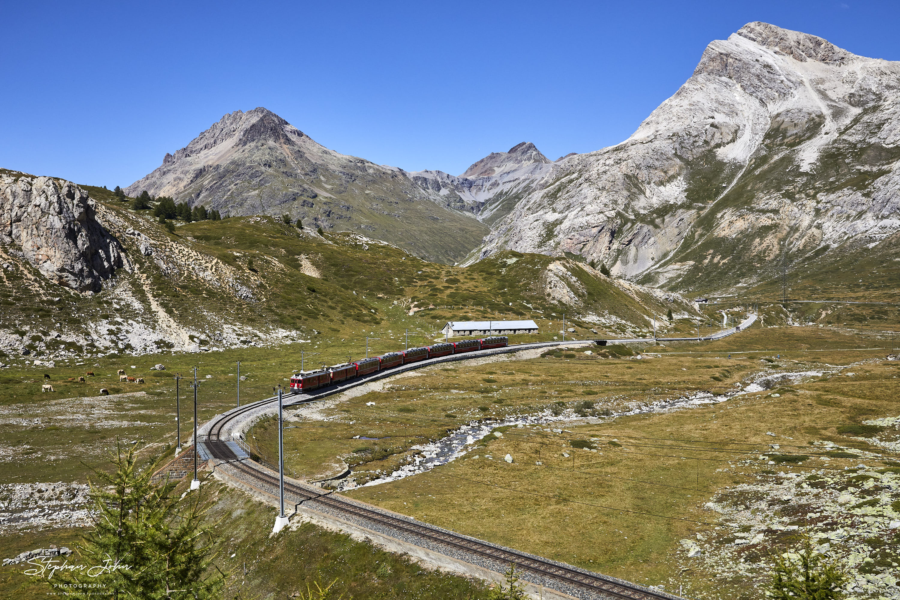 Berninaexpress 973 von St. Moritz nach Tirano zwischen Lagalb und Ospizio Bernina