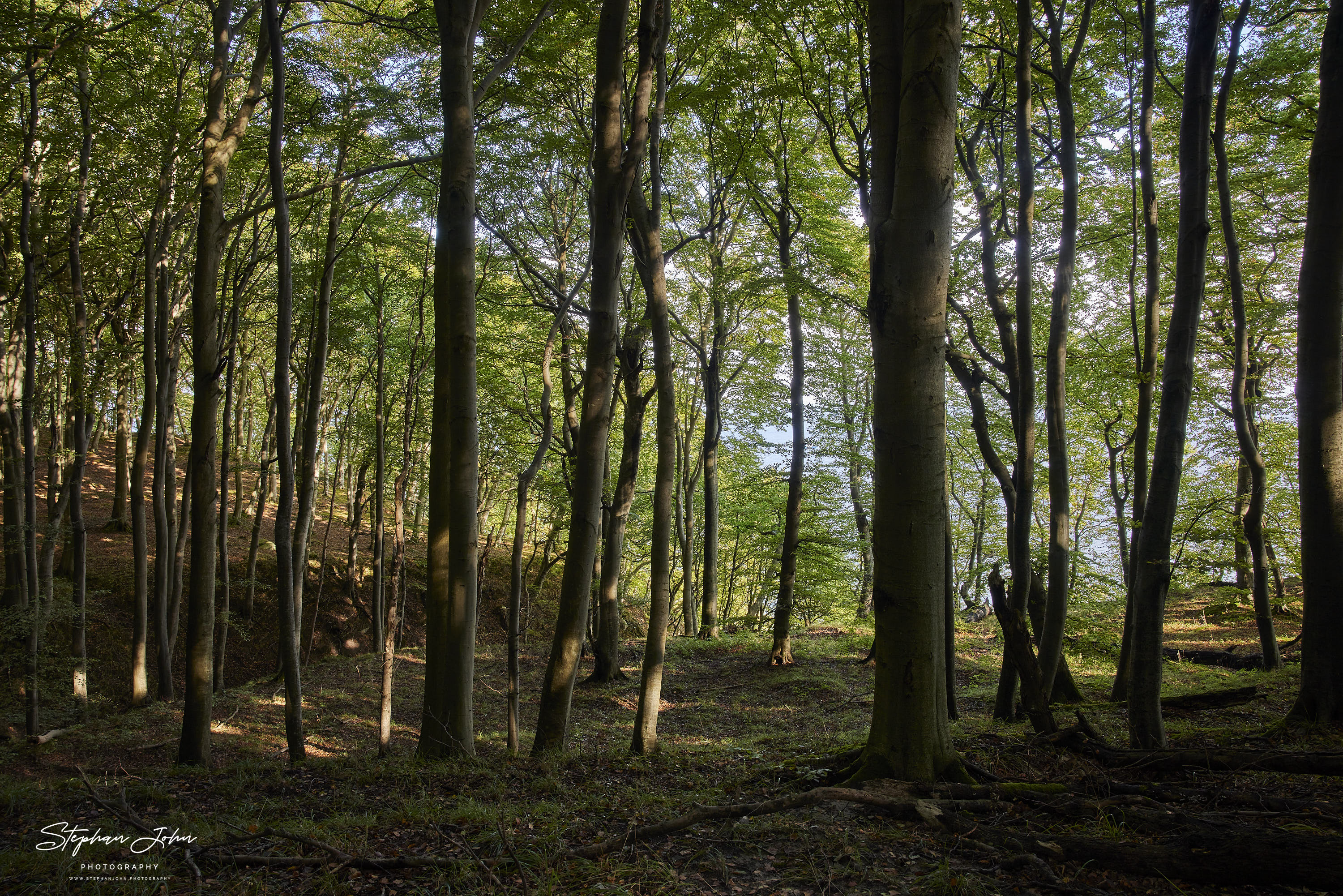 Nationalpark Jasmund auf der Insel Rügen