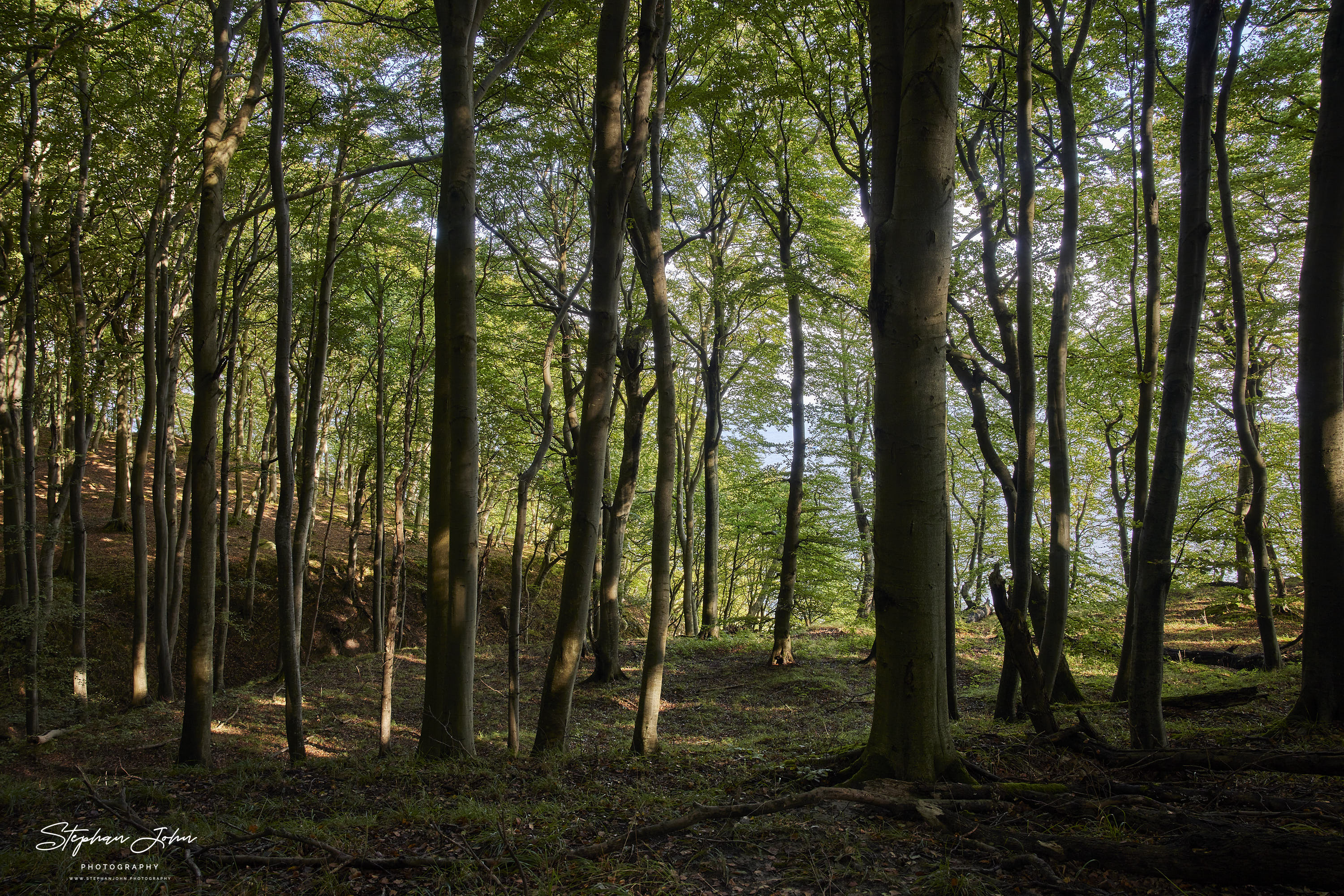 Nationalpark Jasmund auf der Insel Rügen