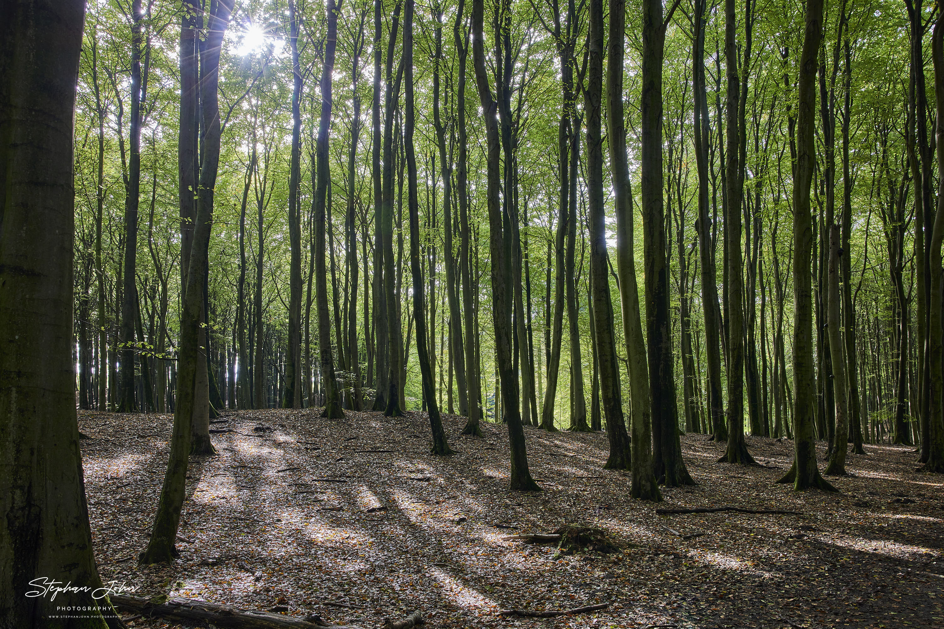 Nationalpark Jasmund auf der Insel Rügen