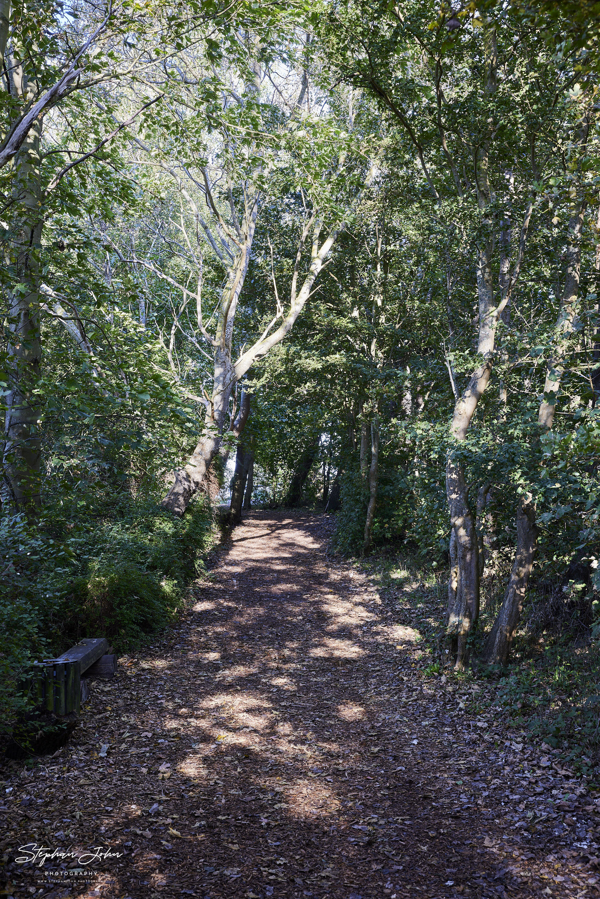 Weg von der nördlichsten Landspitze zum Kap Arkona