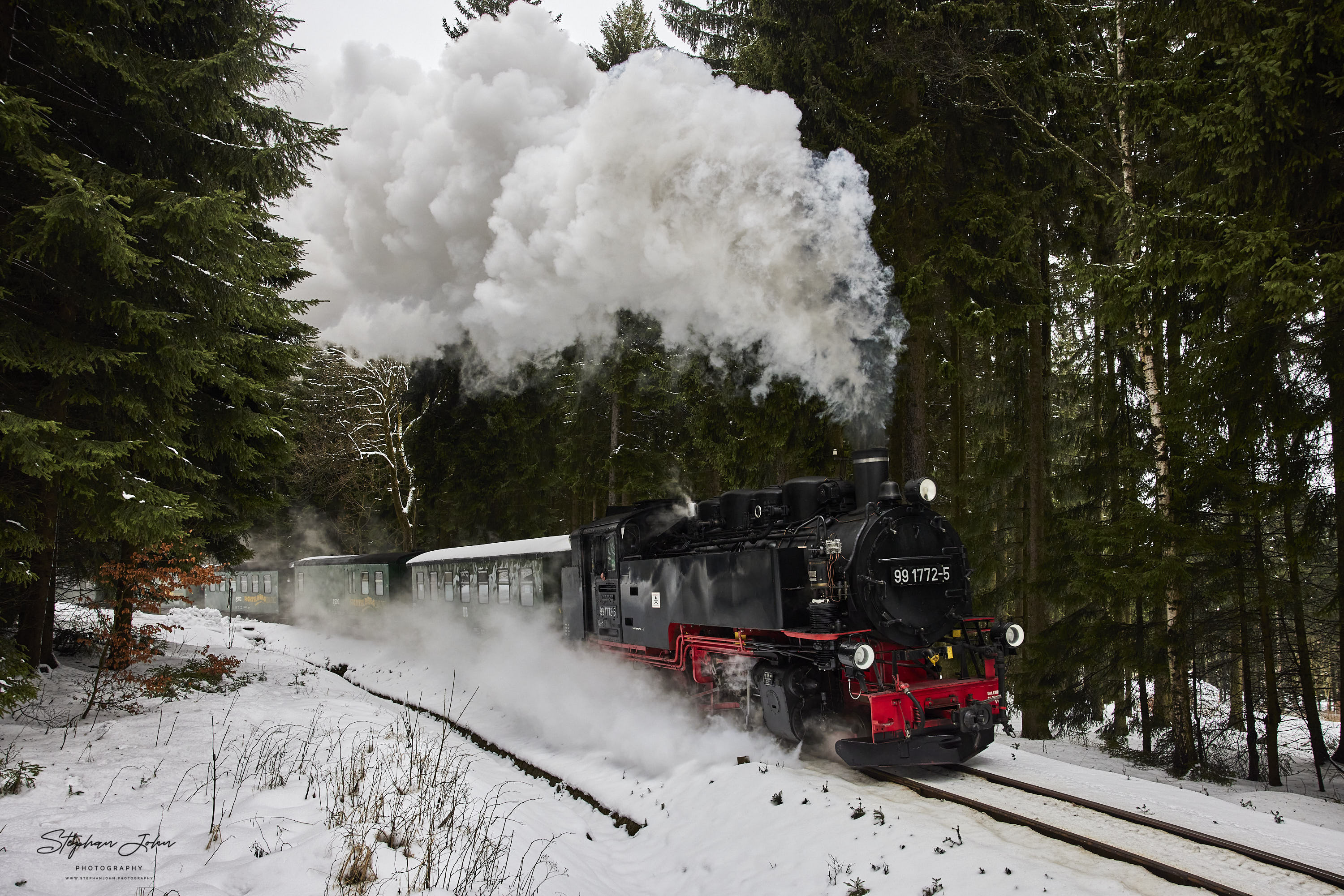 Zug P 1003 mit Lok 99 1772-5 nach Oberwiesenthal hat den Bahnhof Vierenstraße verlassen und kämpft sich durch den Wald die Steigung nach Kretscham-Rothensehma hoch.