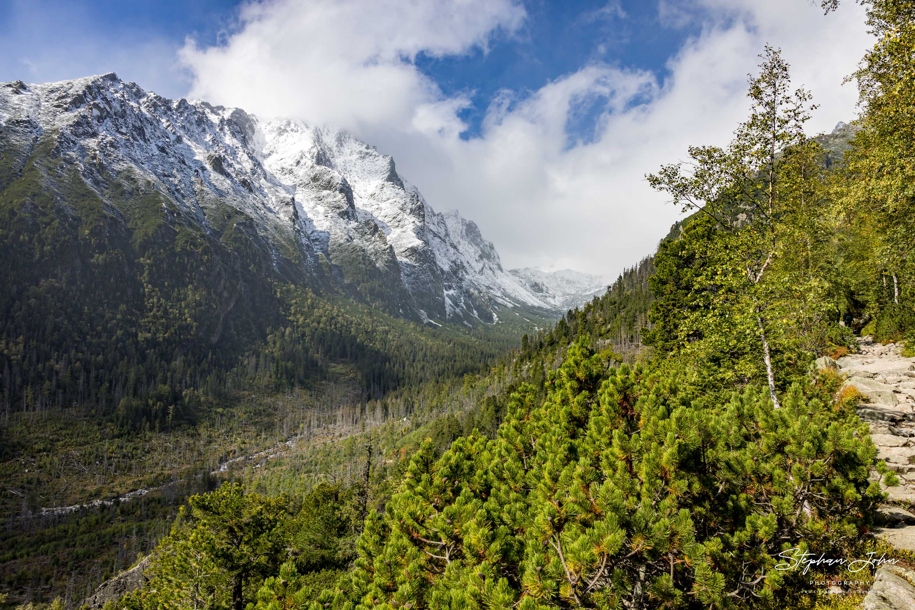 <p>Blick vom Magistrale-Weg in das Veľká Studená dolina (Großes Kohlbachtal)</p>