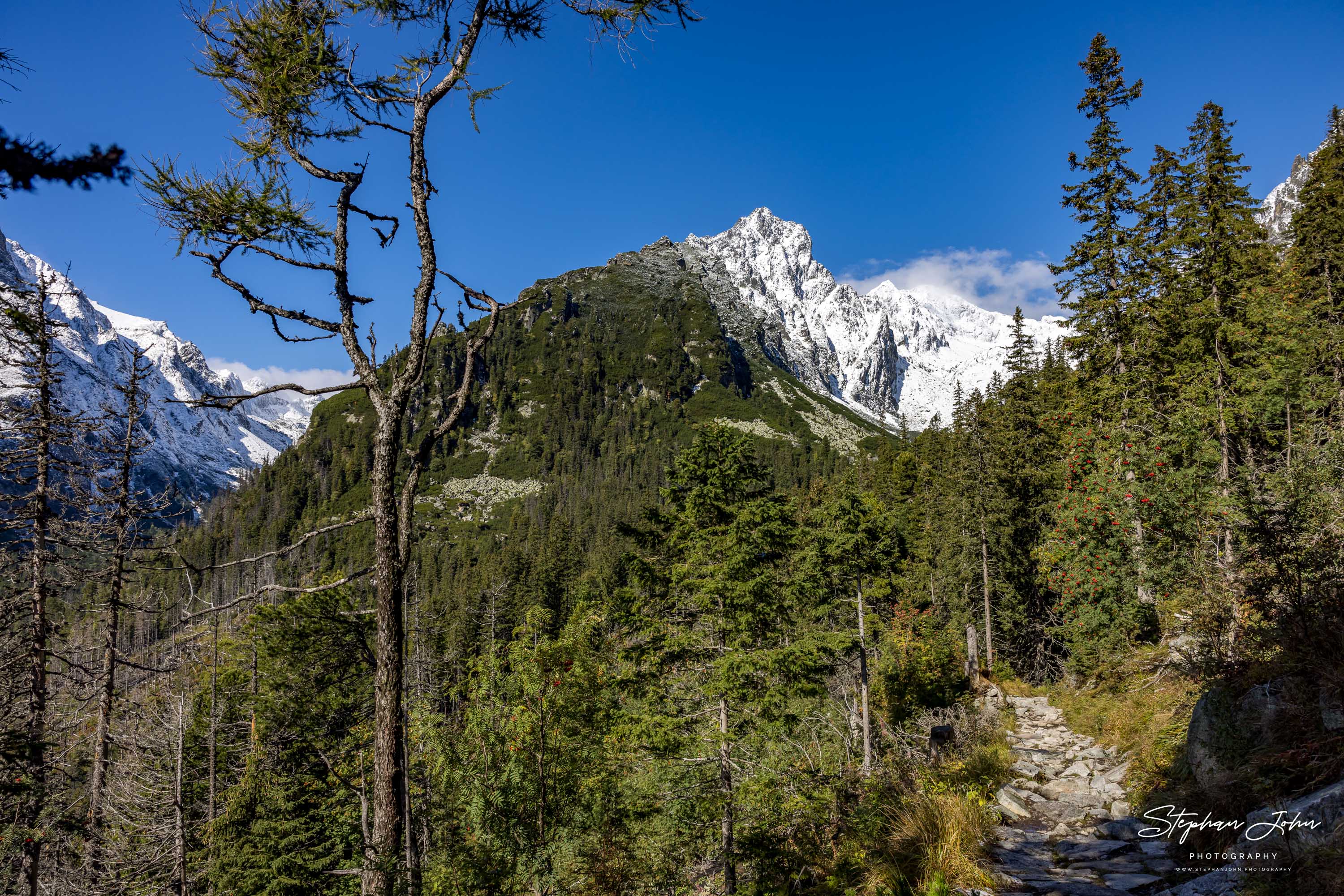 Blick vom Magistrale-Weg in das Malá Studená dolina (Kleines Kohlbachtal). Im Hintergrund ist die Téryho chata (Tery-Hütte) zu sehen.