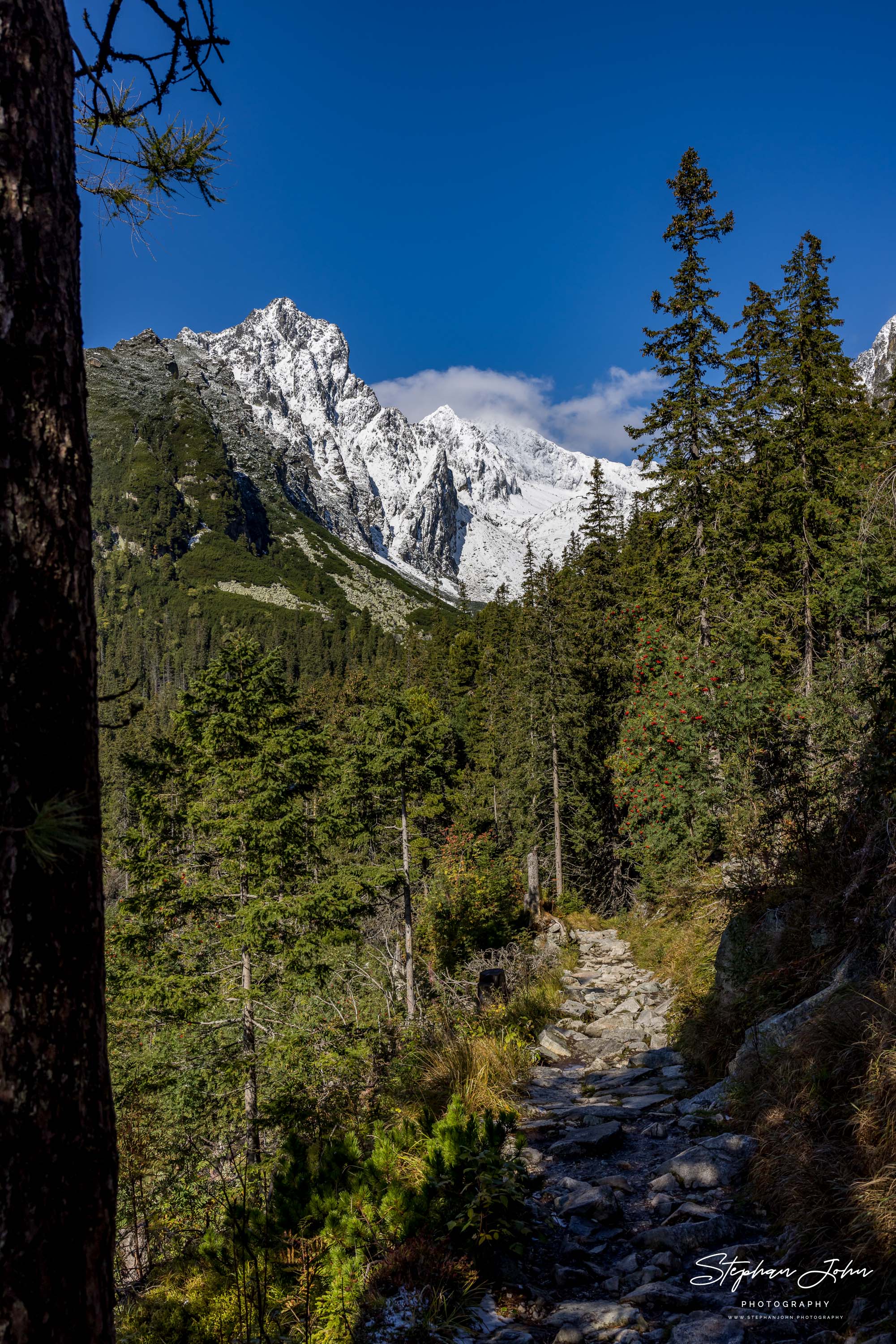 <p>Blick vom Magistrale-Weg in das Malá Studená dolina (Kleines Kohlbachtal). Im Hintergrund ist die Téryho chata (Tery-Hütte) zu sehen.</p>