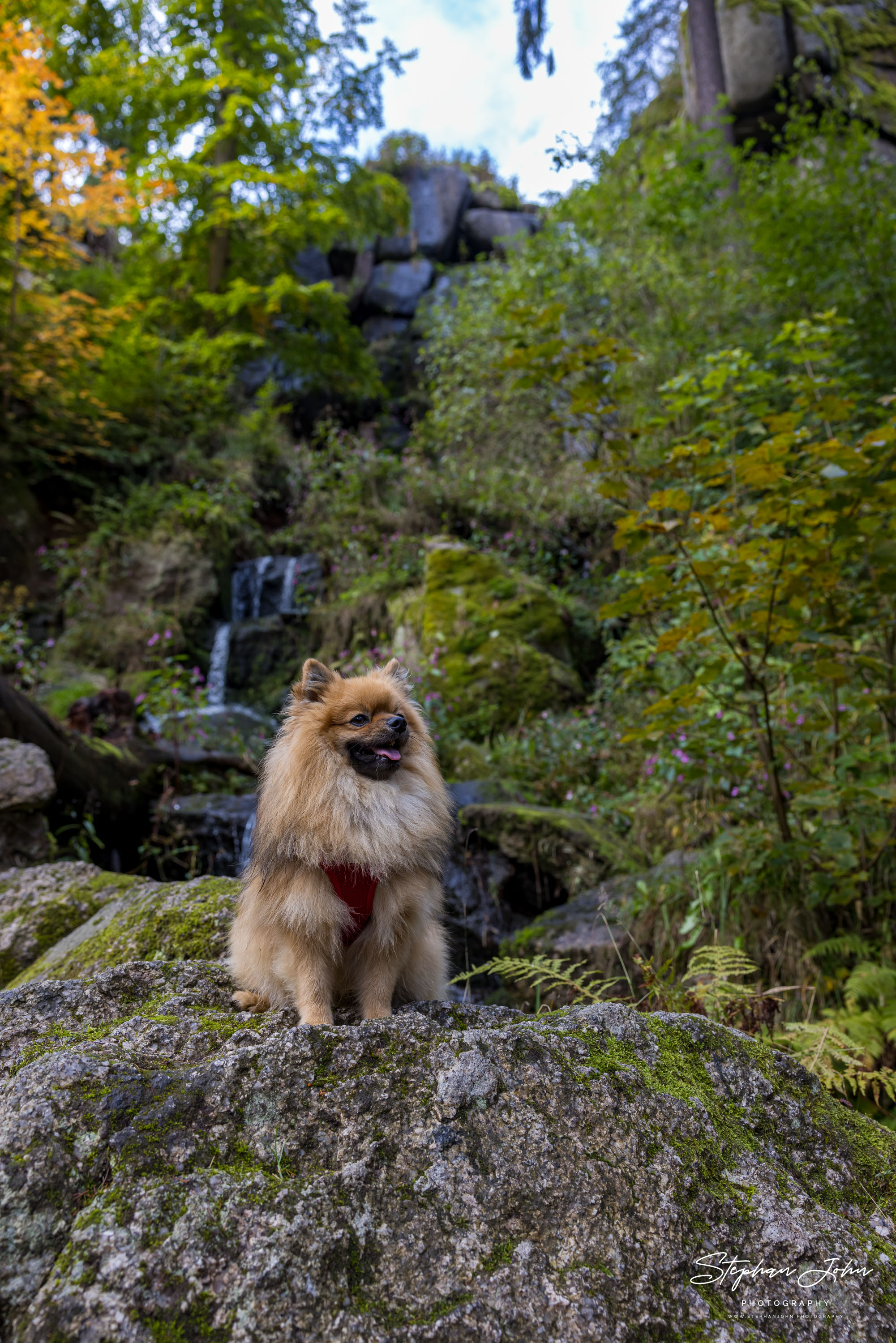 Karli am Blauenthaler Wasserfall im Erzgebirge