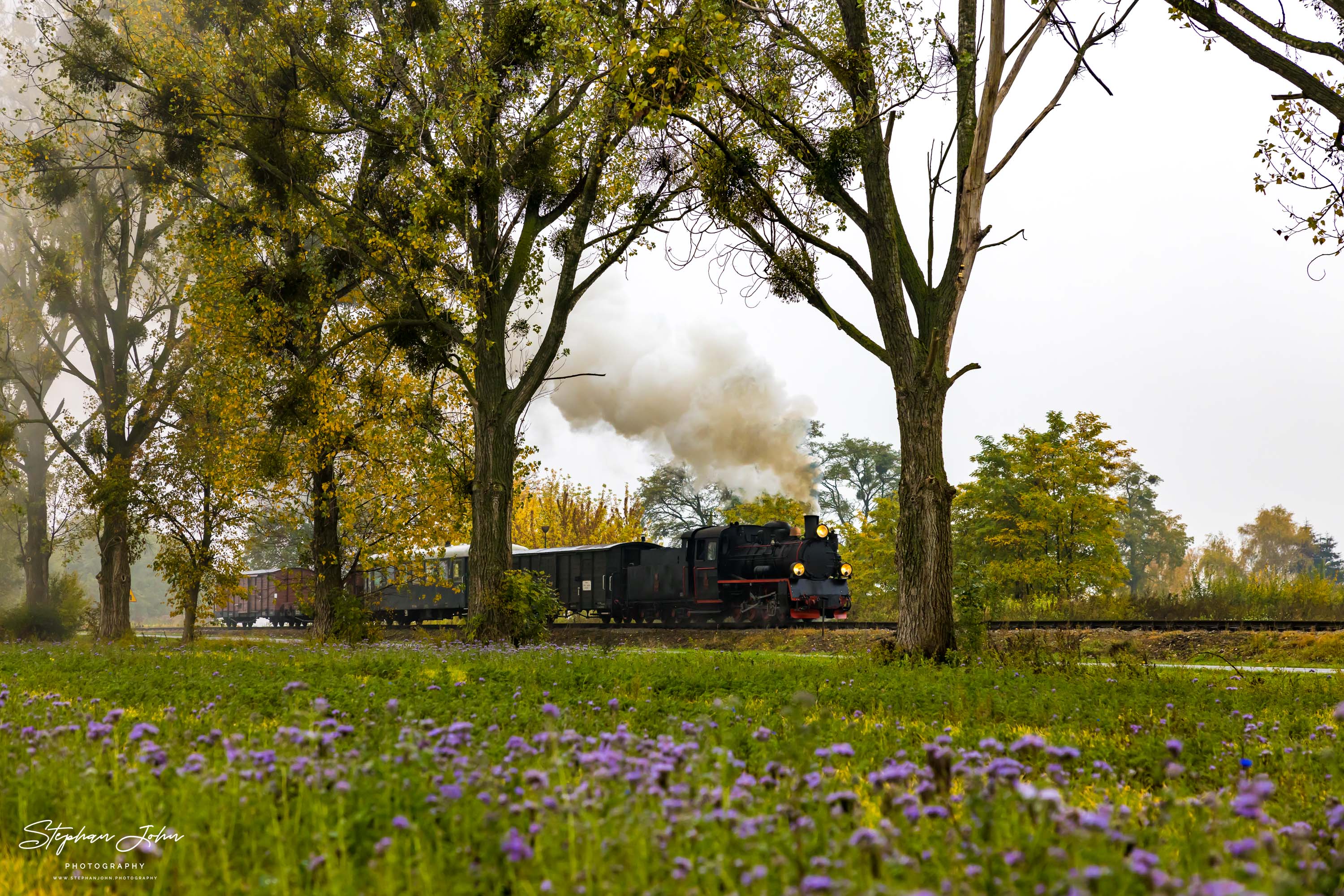 GmP mit Lok Px48-1920 von Zaniemyśl nach Środa Miasto in Höhe Polwica