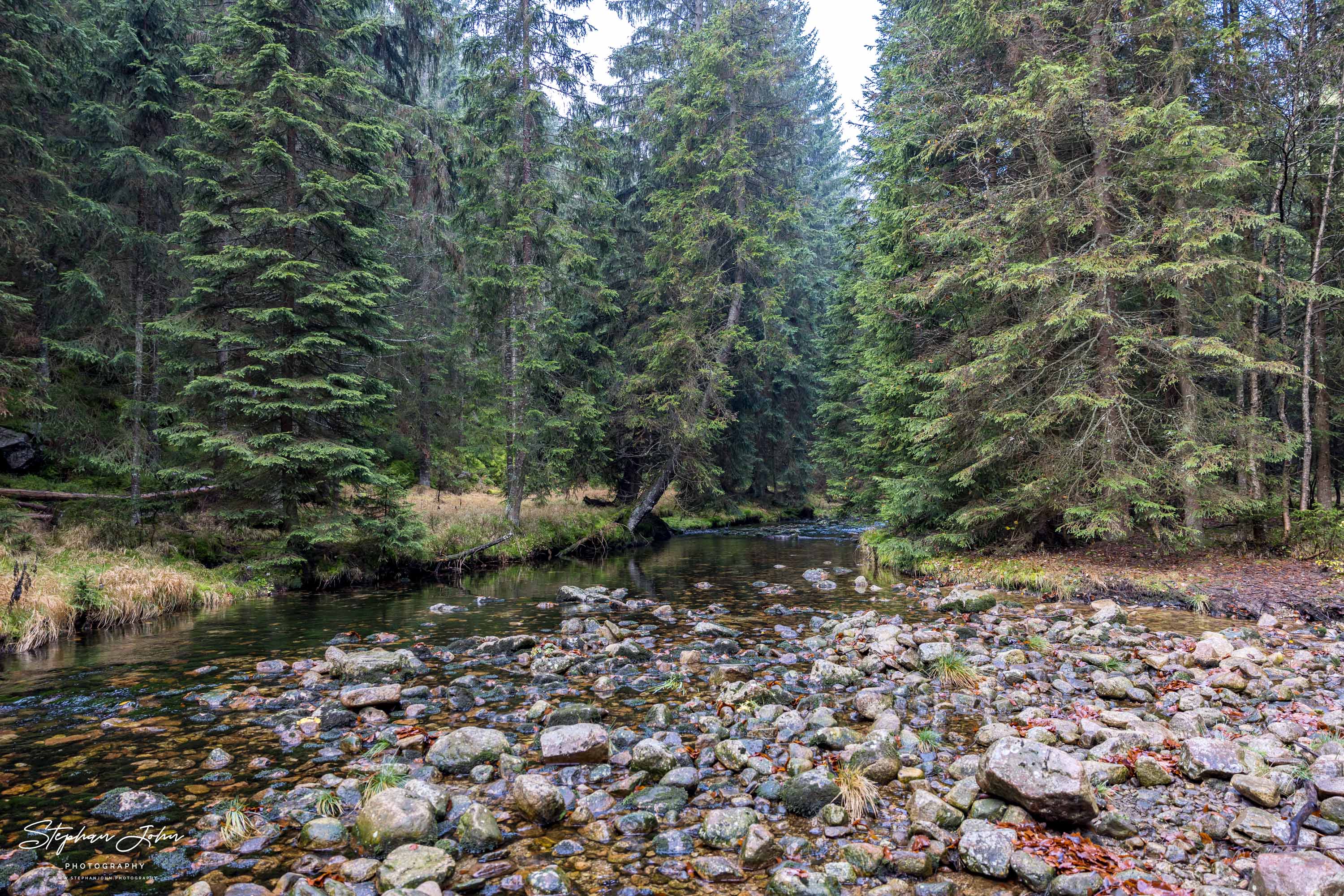 Die Elbe im Zulauf auf Spindlermühle im Riesengebirge