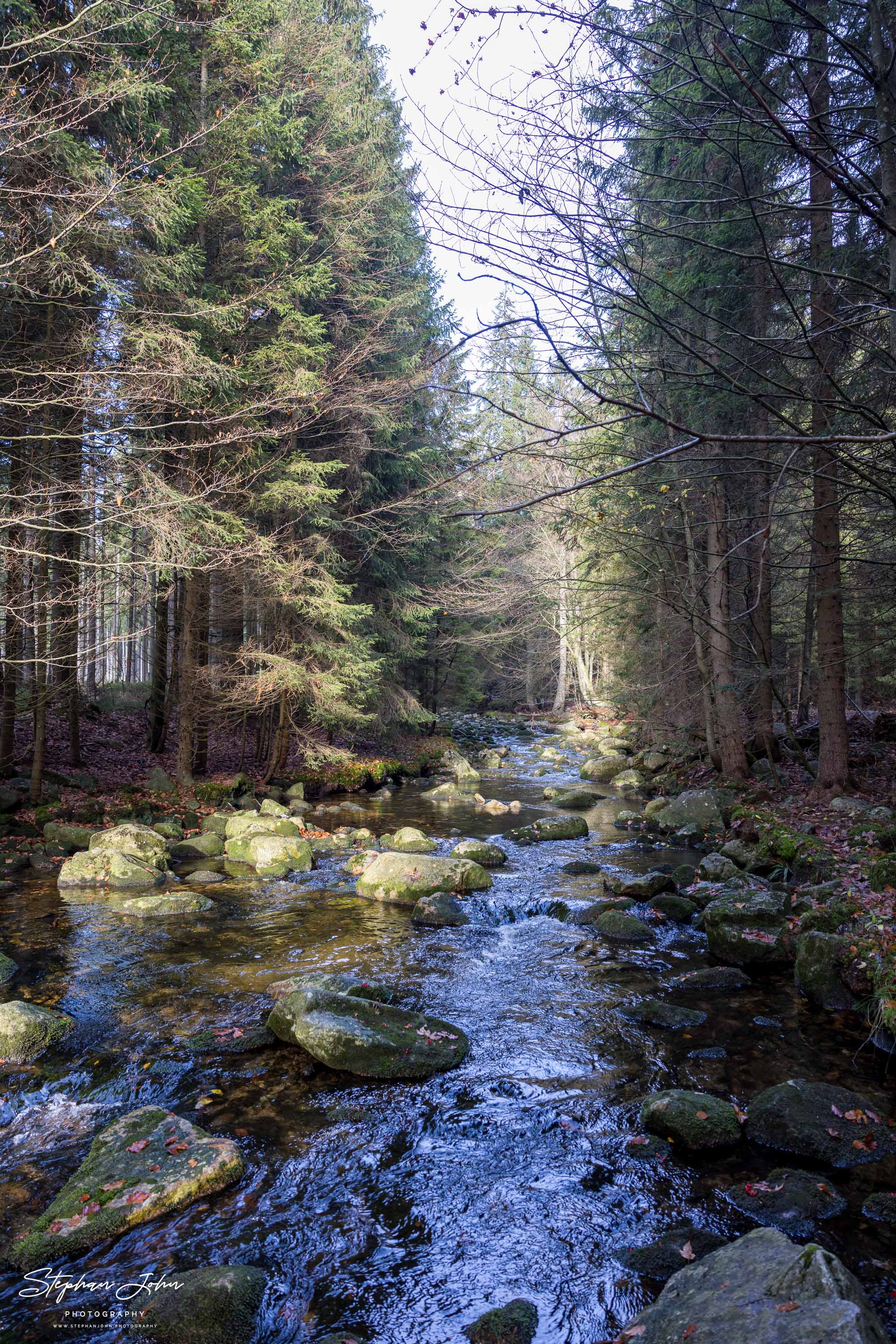 Die Elbe im Zulauf auf Spindlermühle im Riesengebirge