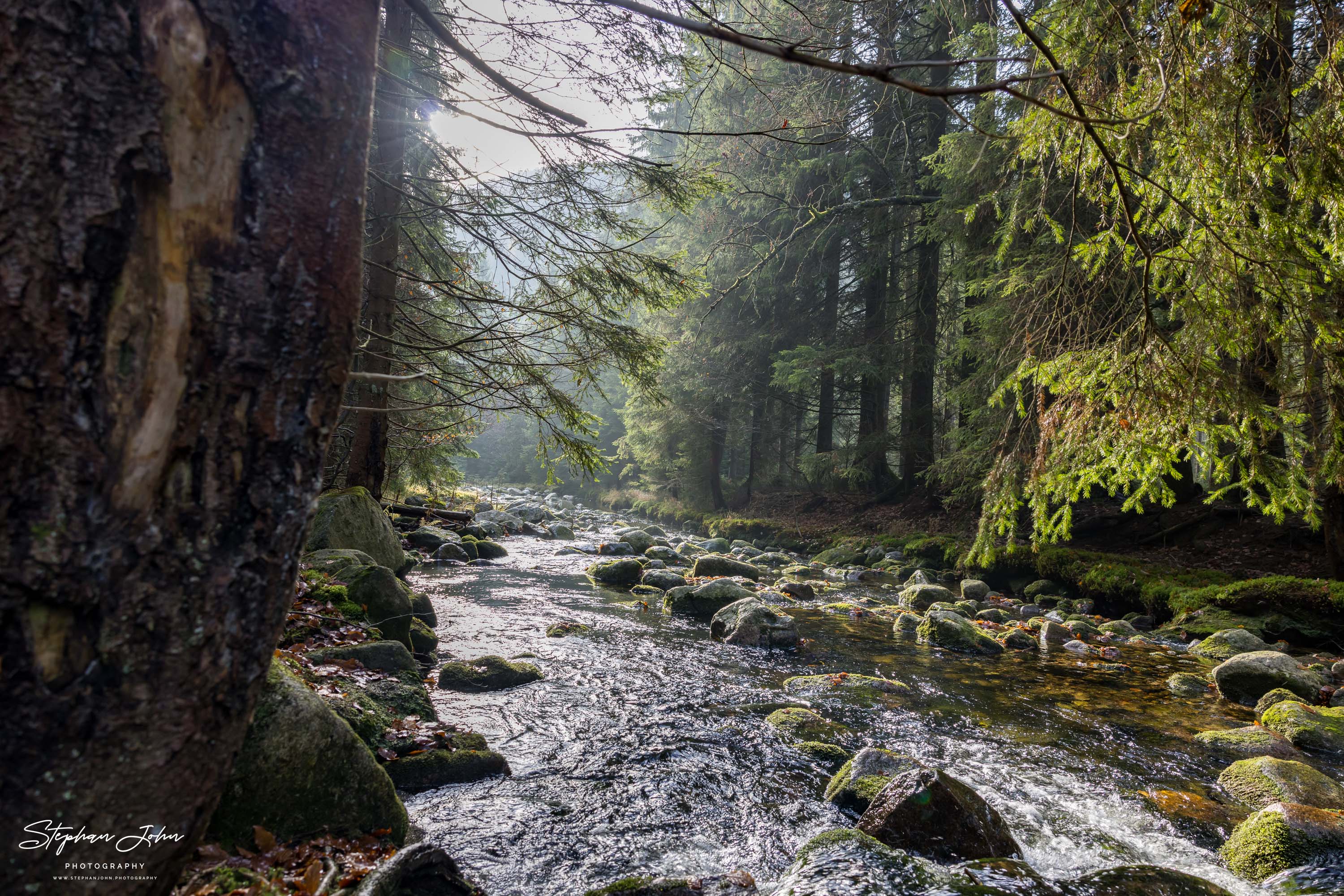 Die Elbe im Zulauf auf Spindlermühle im Riesengebirge