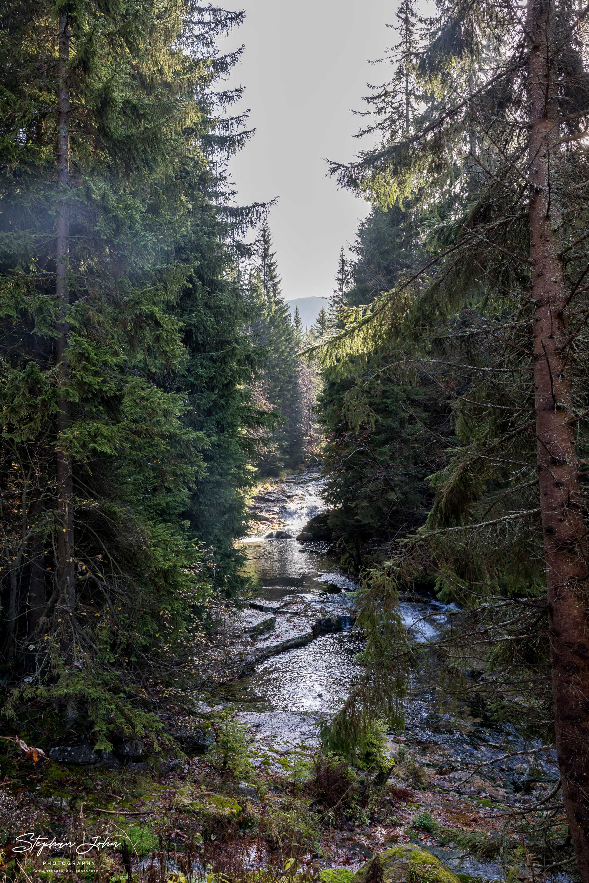 Die Bílé Labe (deutsch Weißwasser, wörtlich übersetzt Weiße Elbe)