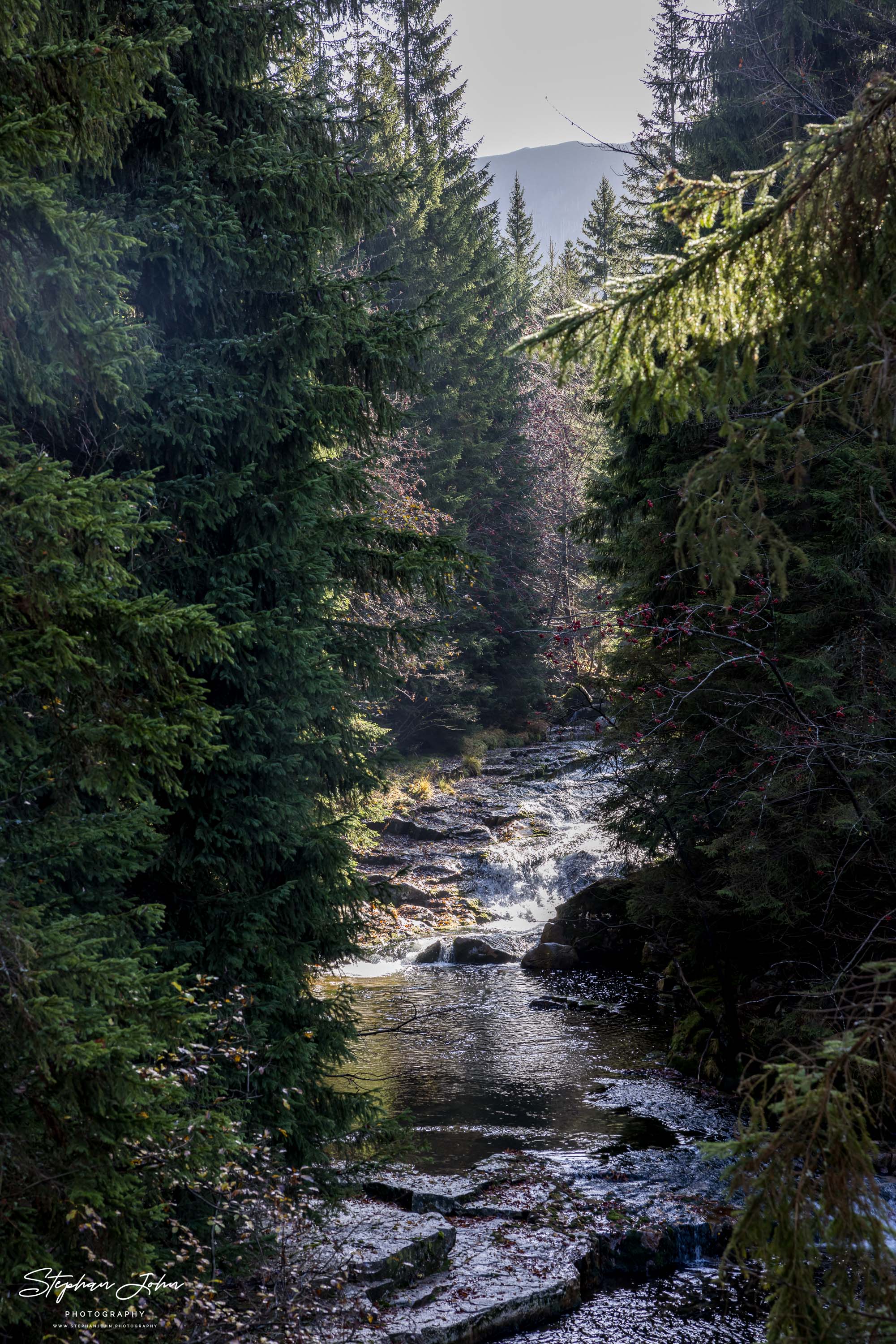 Die Bílé Labe (deutsch Weißwasser, wörtlich übersetzt Weiße Elbe)