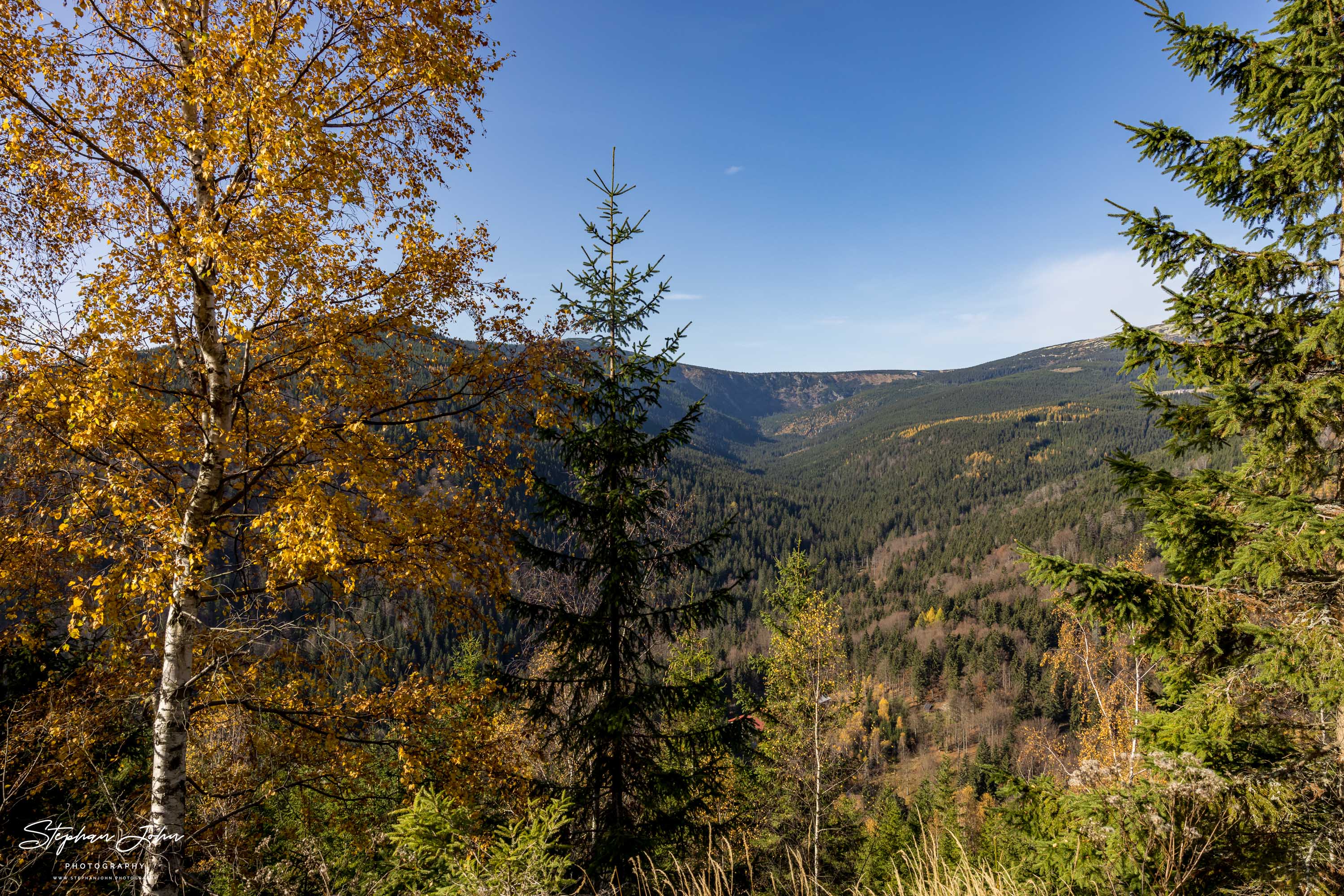 Blick vom Holzweg Spindlermühle über das Elbtal zur Elbfall-Baude