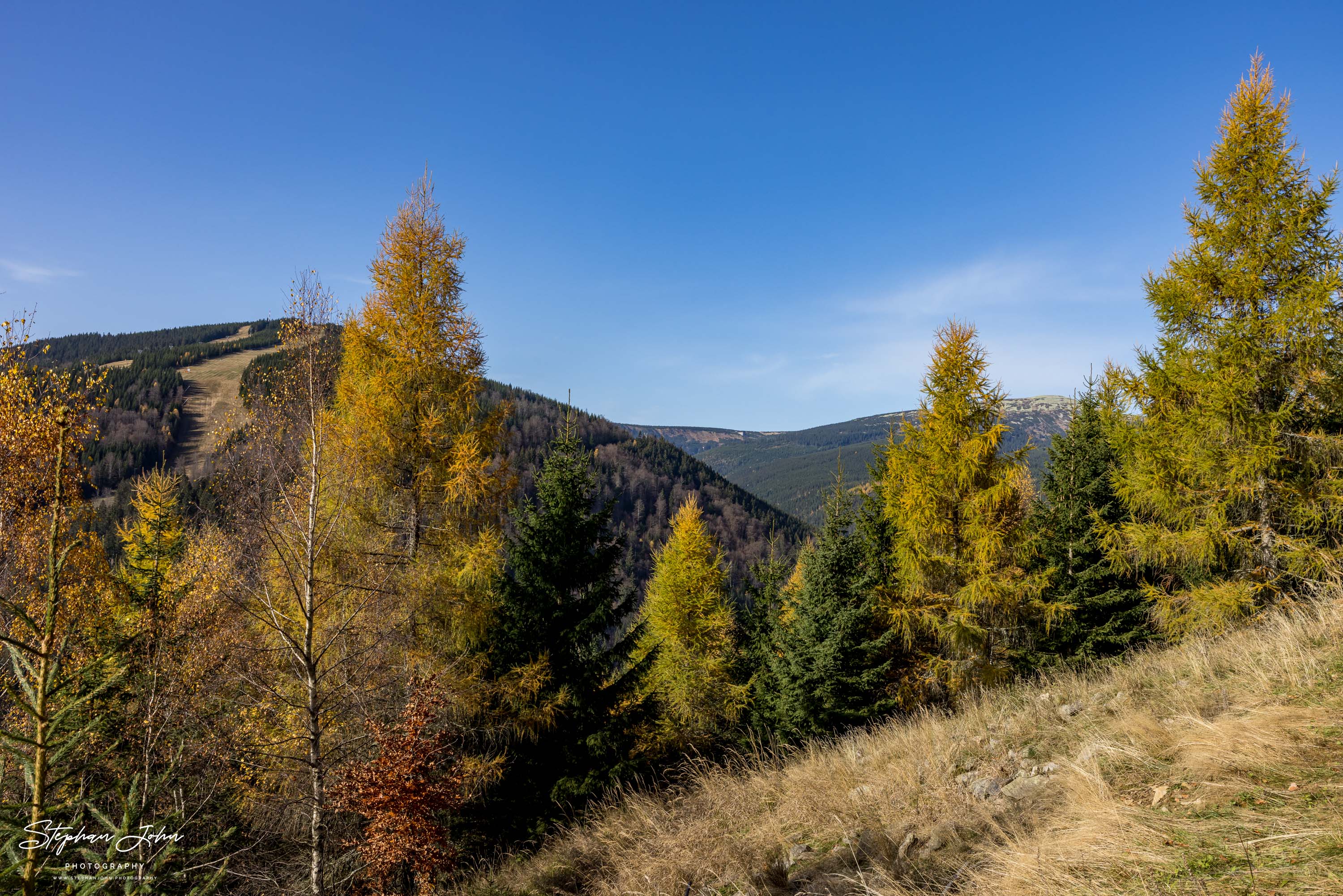 Blick vom Holzweg Spindlermühle über das Elbtal zur Elbfall-Baude