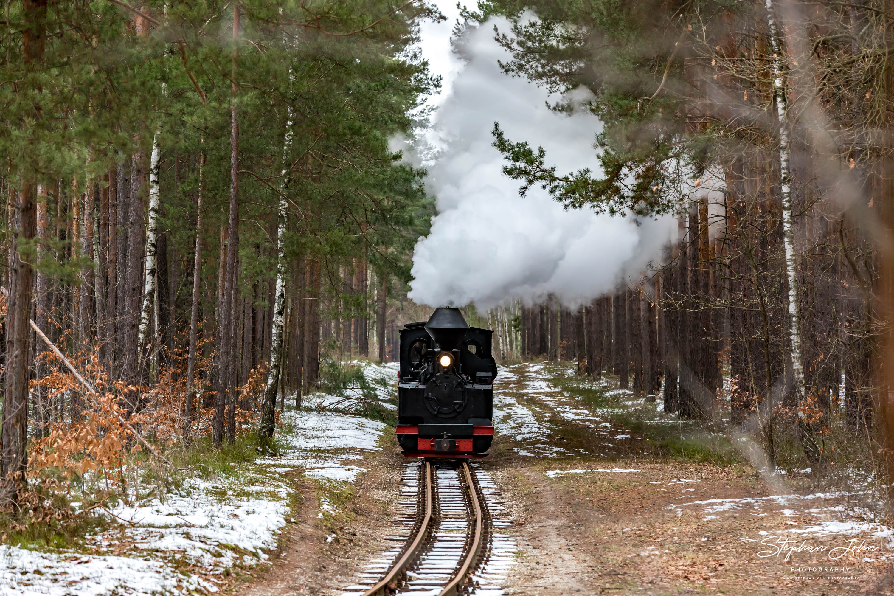 Lok 99 3315-1 dampft durch den Wald in Richtung Weißwasser