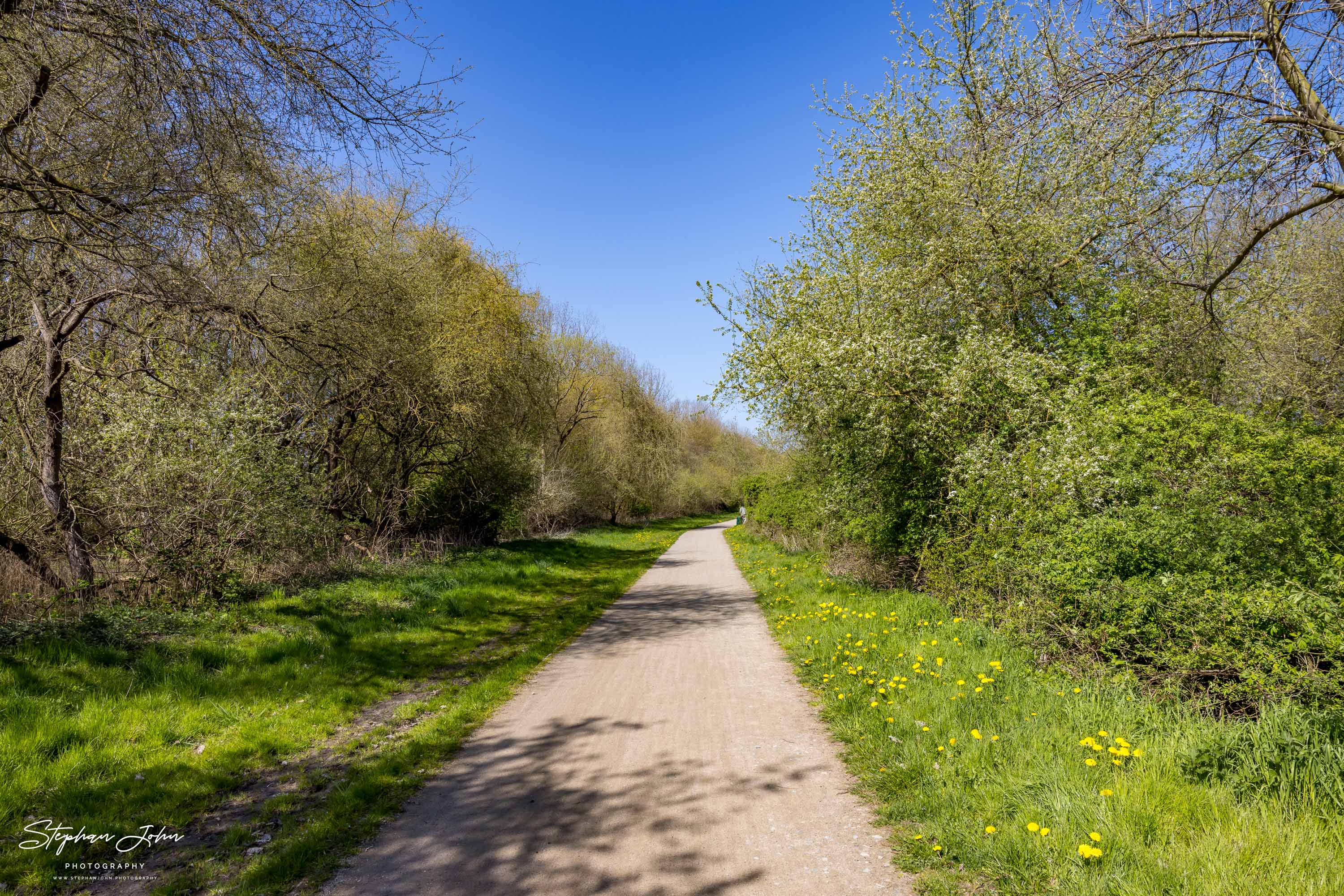 Wanderweg entlang der Küste von Kühlungsborn nach Heiligendamm