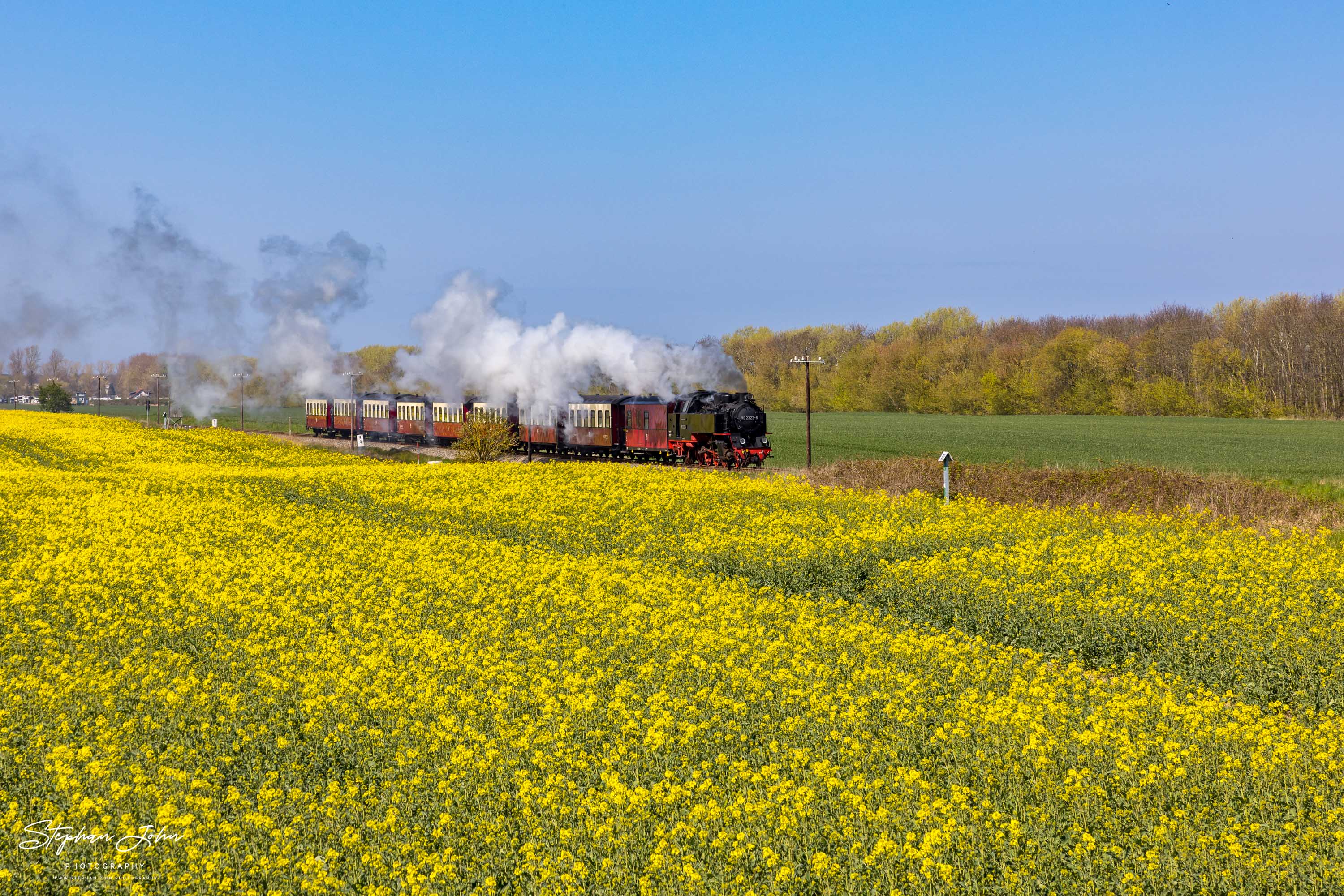 Lok 99 2323-6 dampft mit einem Personenzug von Kühlungsborn nach Bad Doberan.