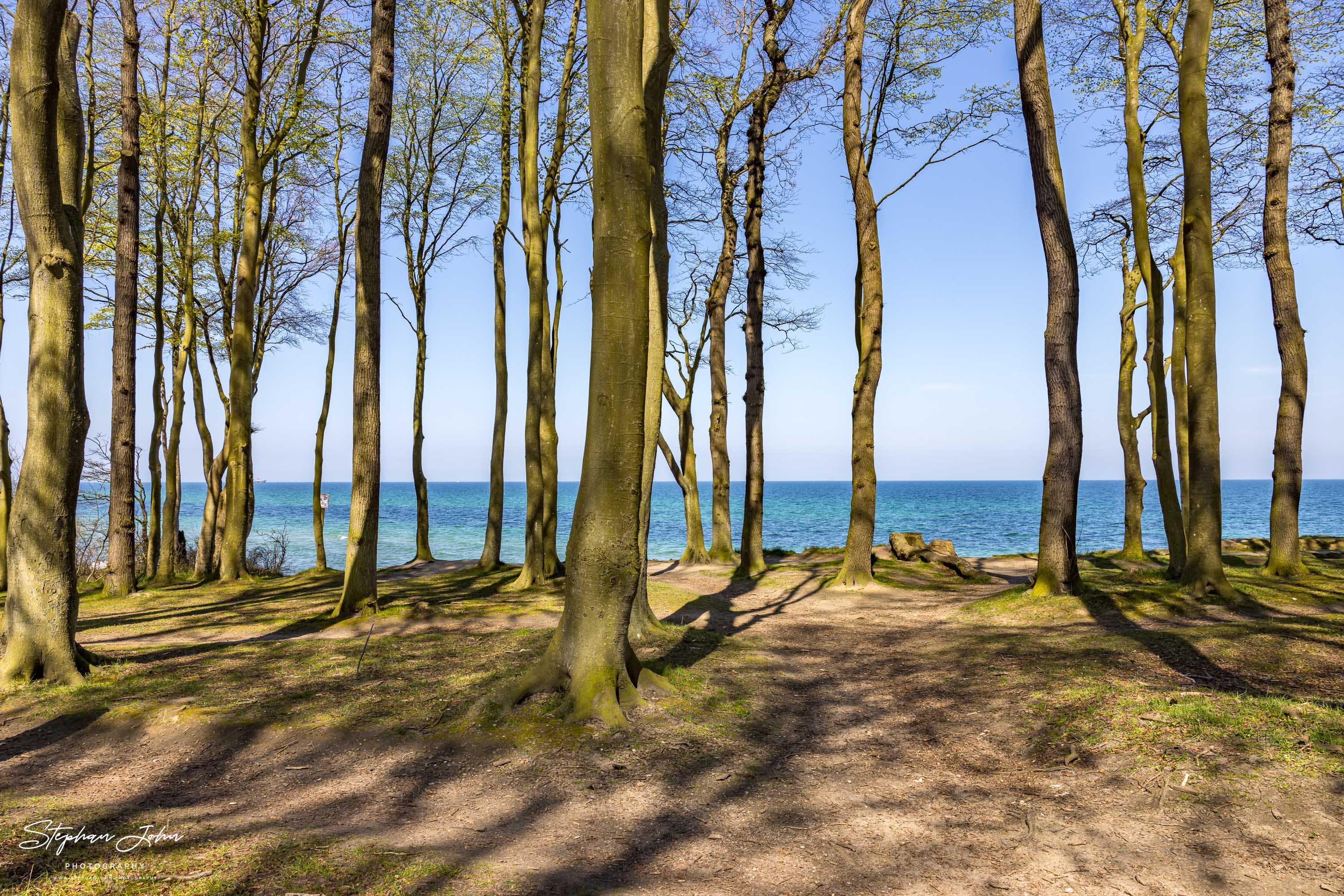 Ostseeküste beim Kleinen Wald in Heiligendamm