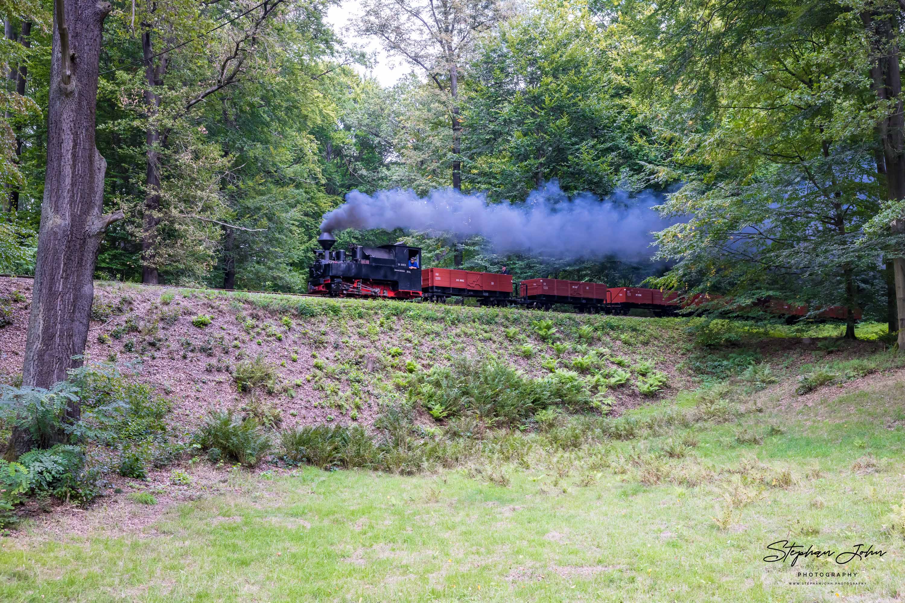 Waldeisenbahn Muskau