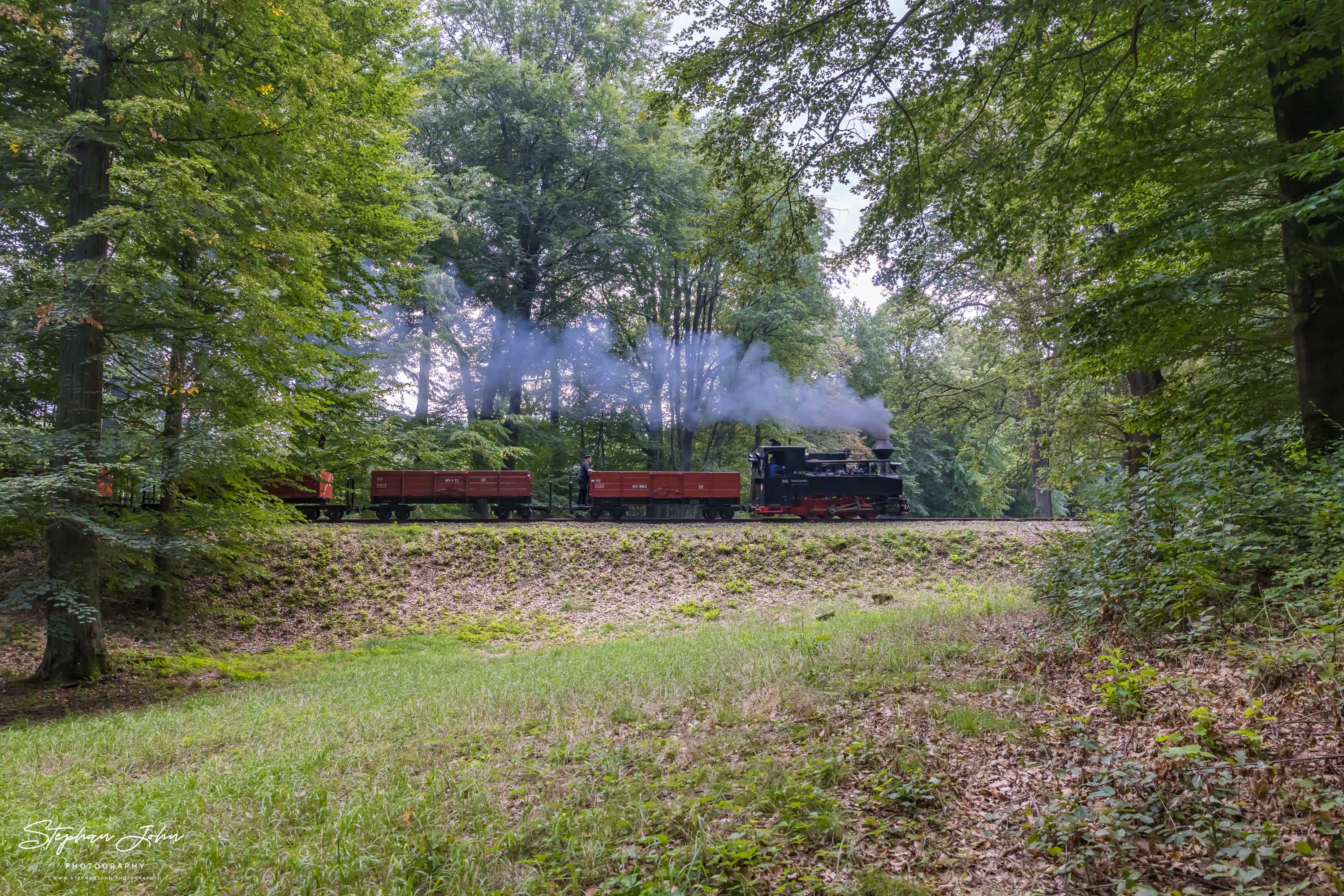 Waldeisenbahn Muskau