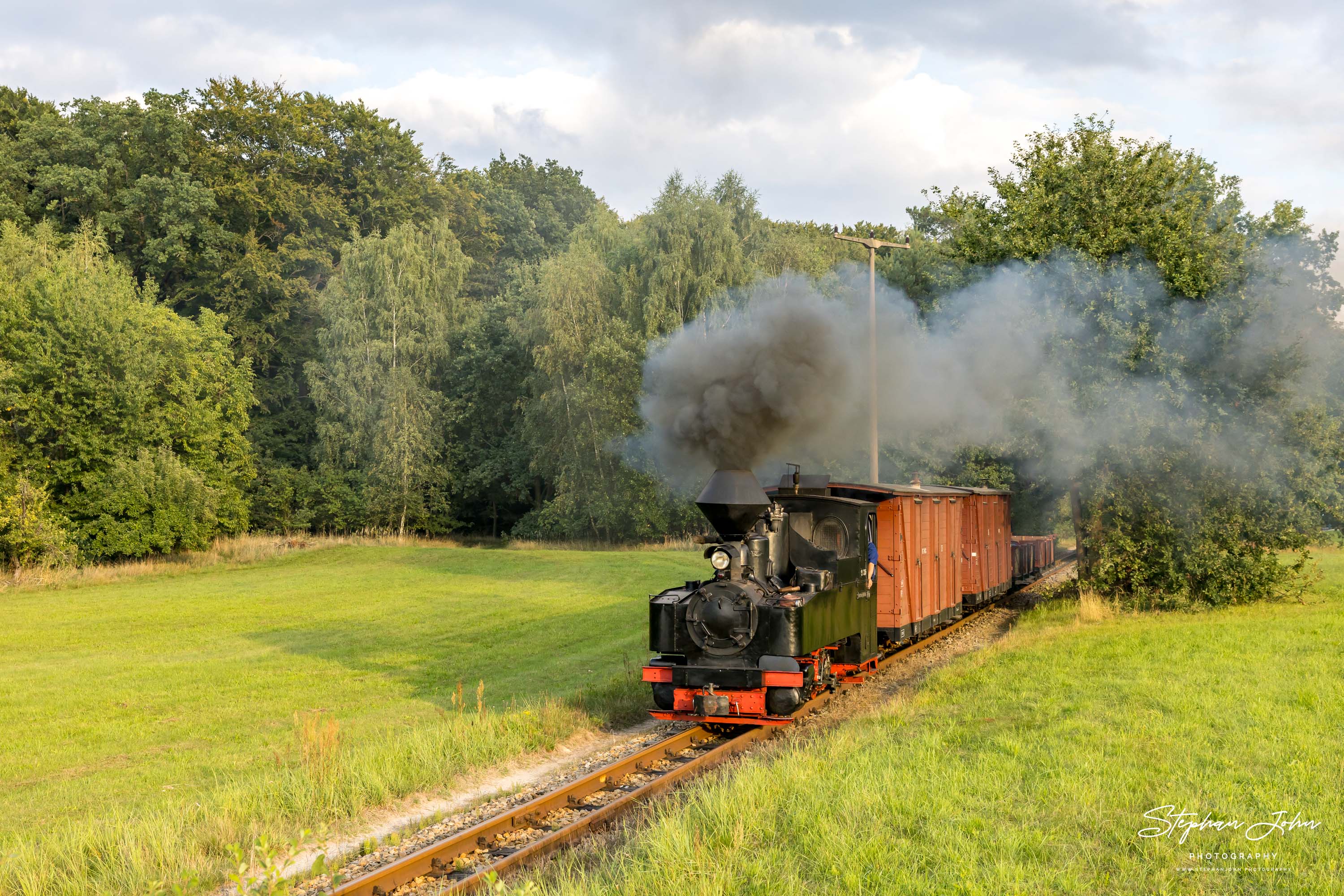 Lok 99 3315-1 mit einem GmP nach Weißwasser kurz vor dem Bahnhof Baierweiche