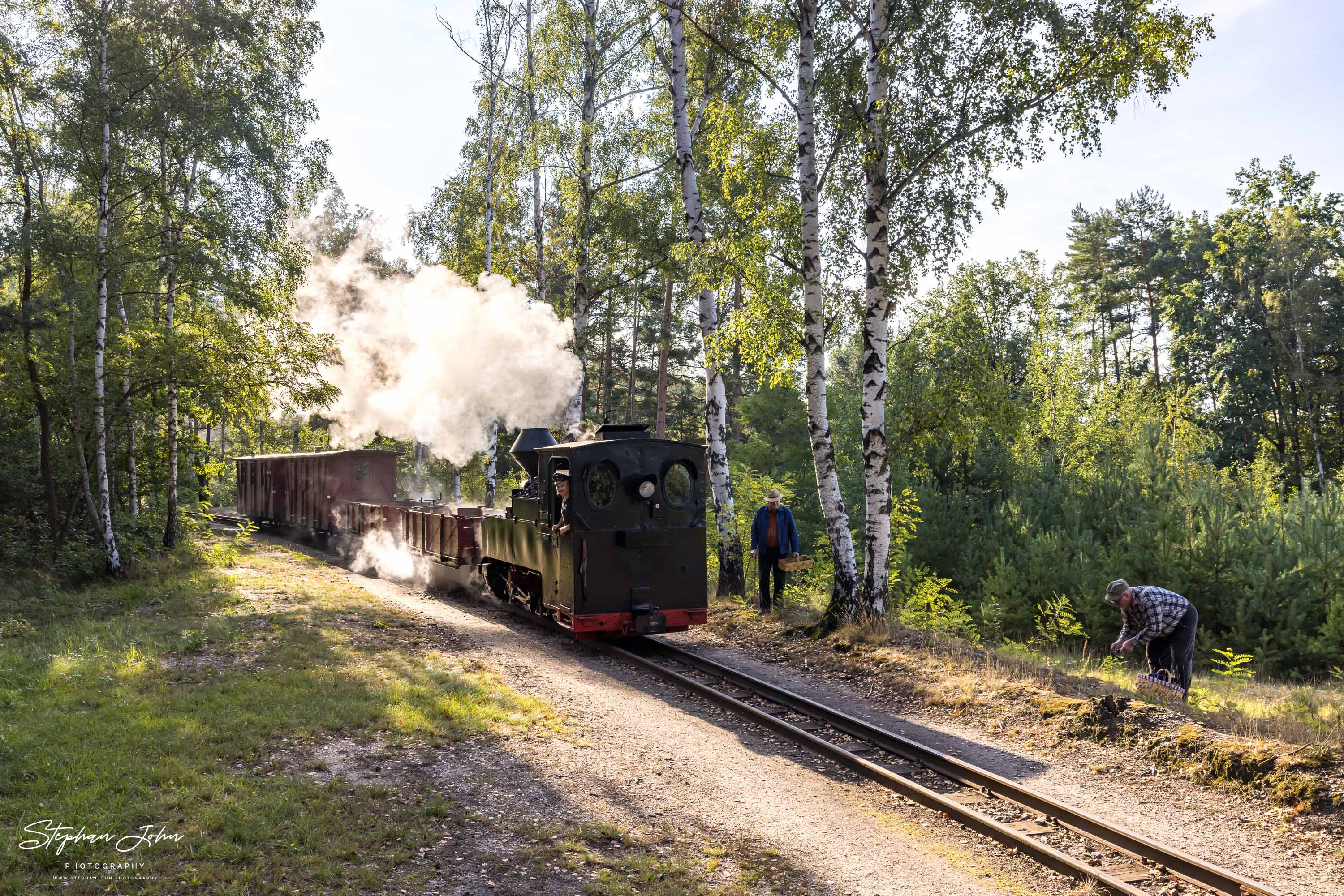 Lok 99 3315-1 mit einen GmP von Weißwasser in Richtung Kromlau