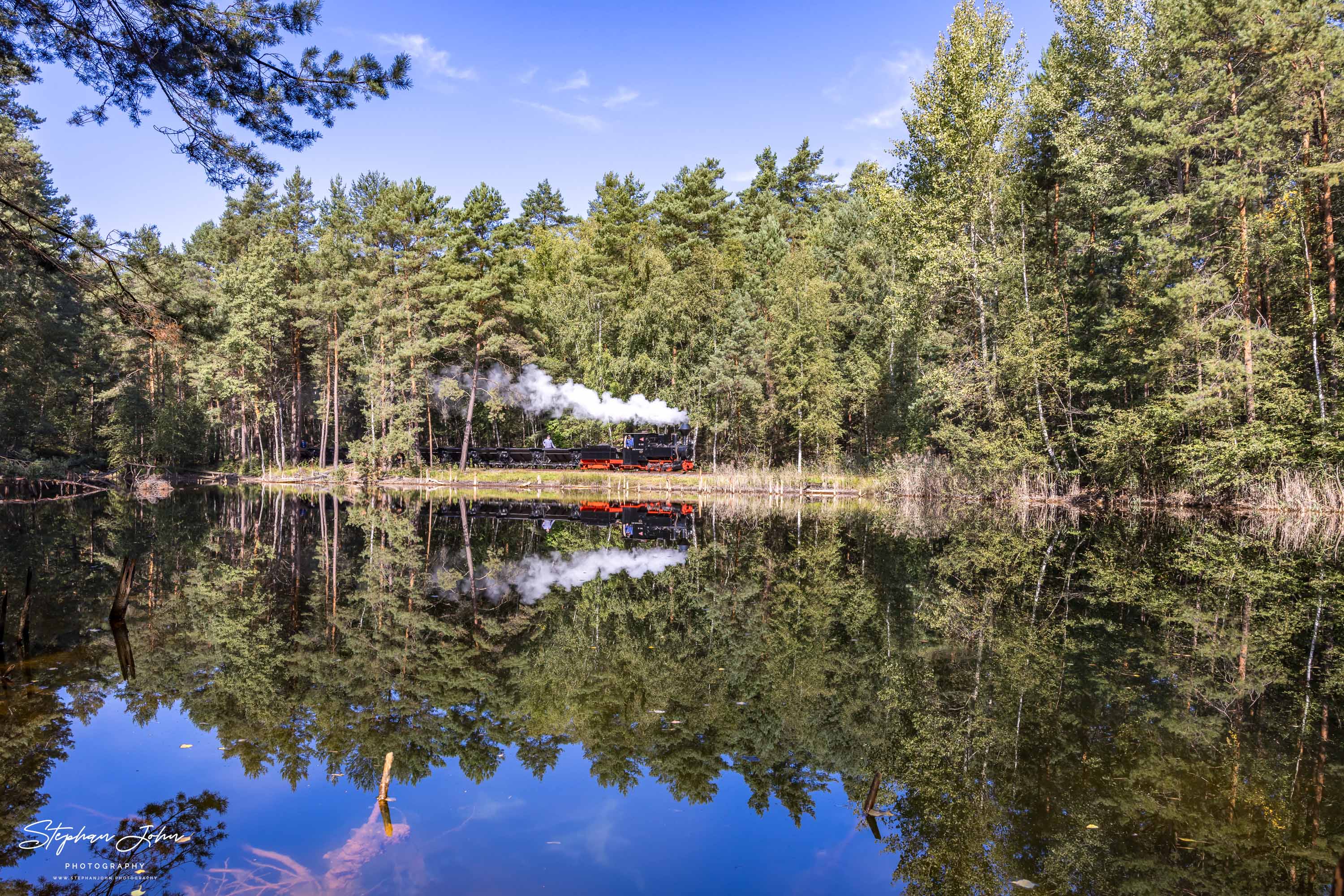 Lok 99 3301 mit einem Lorenzug dampft an einem Waldteich vorbei in Richtung Weißwasser