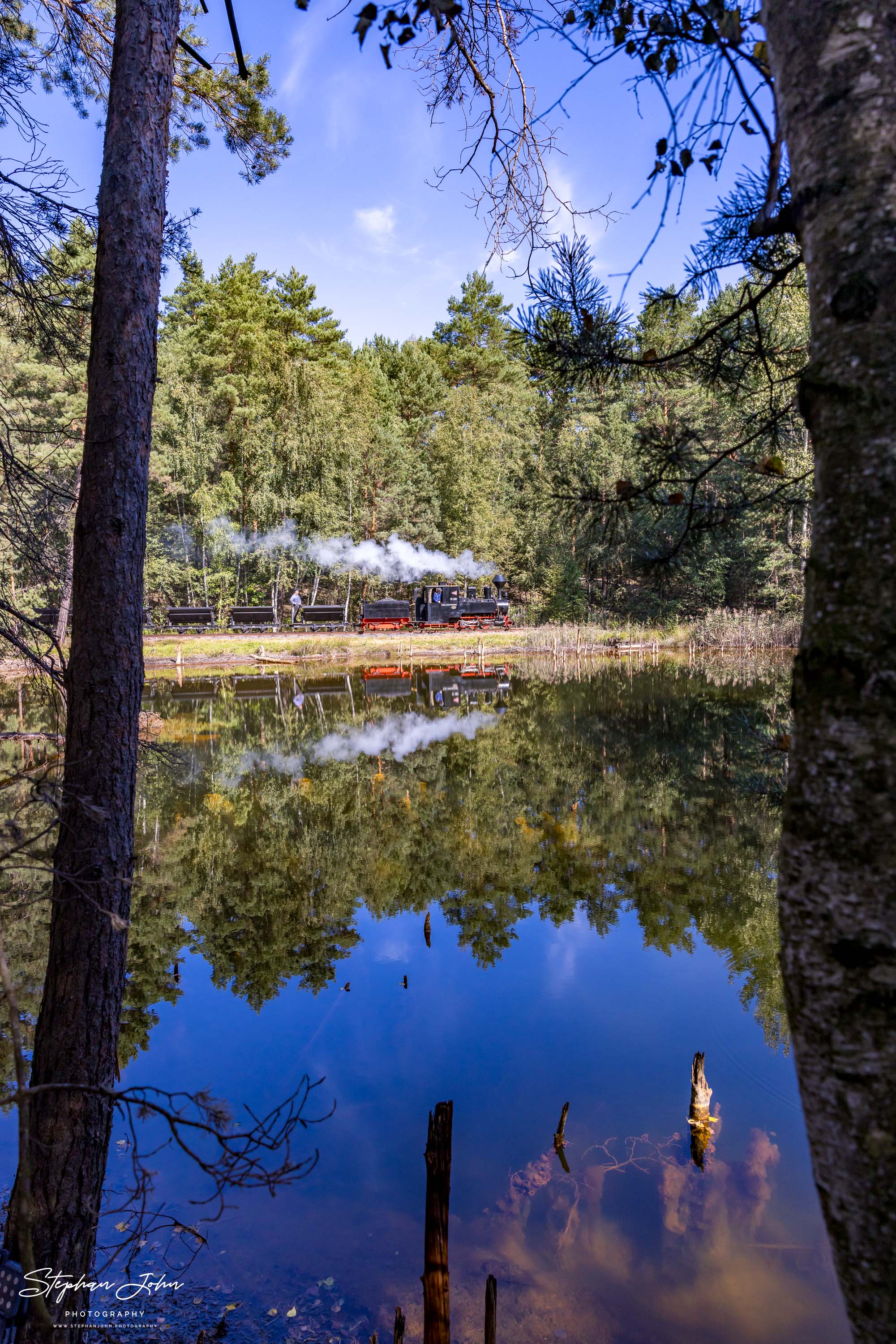 Lok 99 3301 mit einem Lorenzug dampft an einem Waldteich vorbei in Richtung Weißwasser