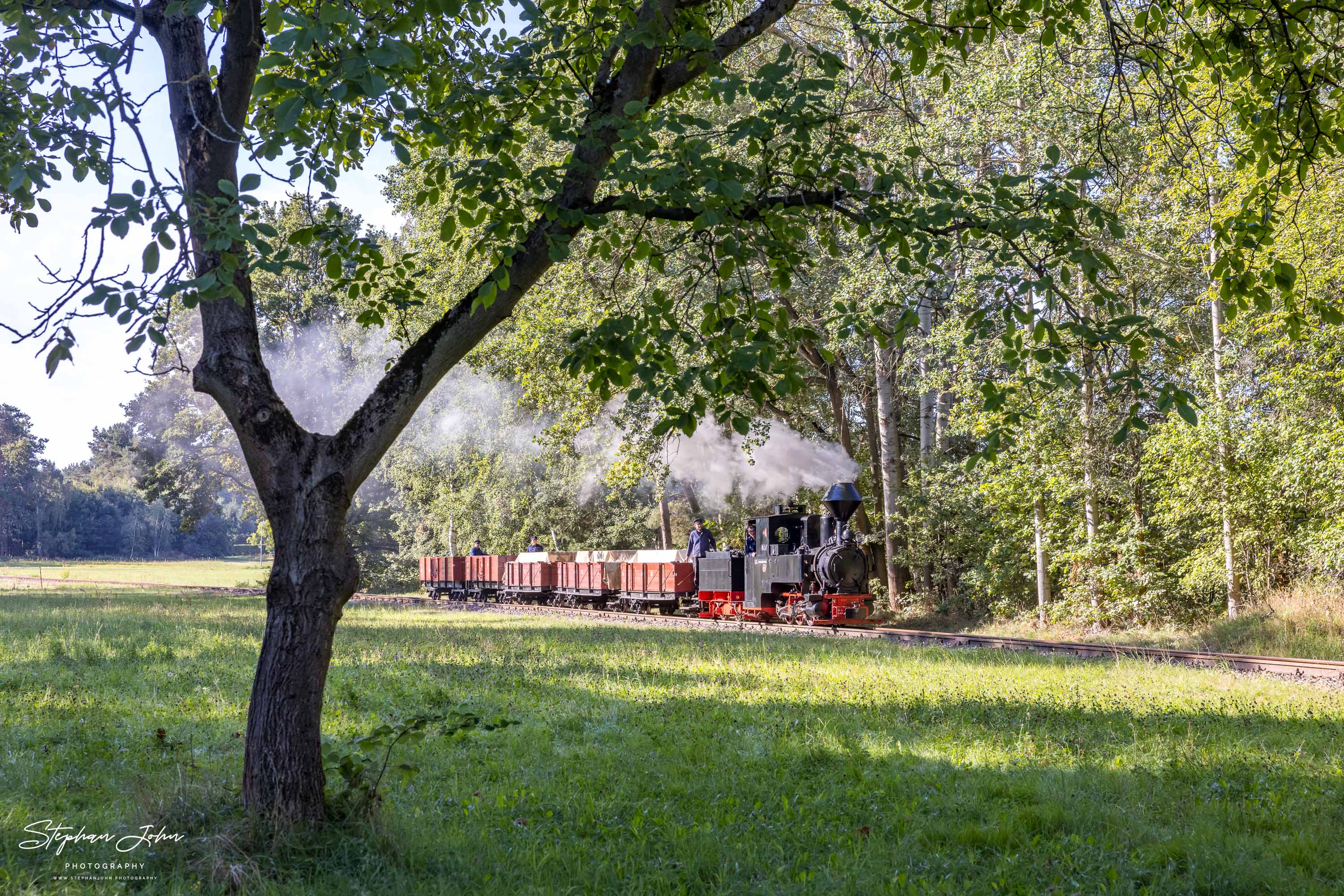 Lok 99 3301 'Graf Arnim' mit einem GmP auf dem Weg nach Bad Muskau