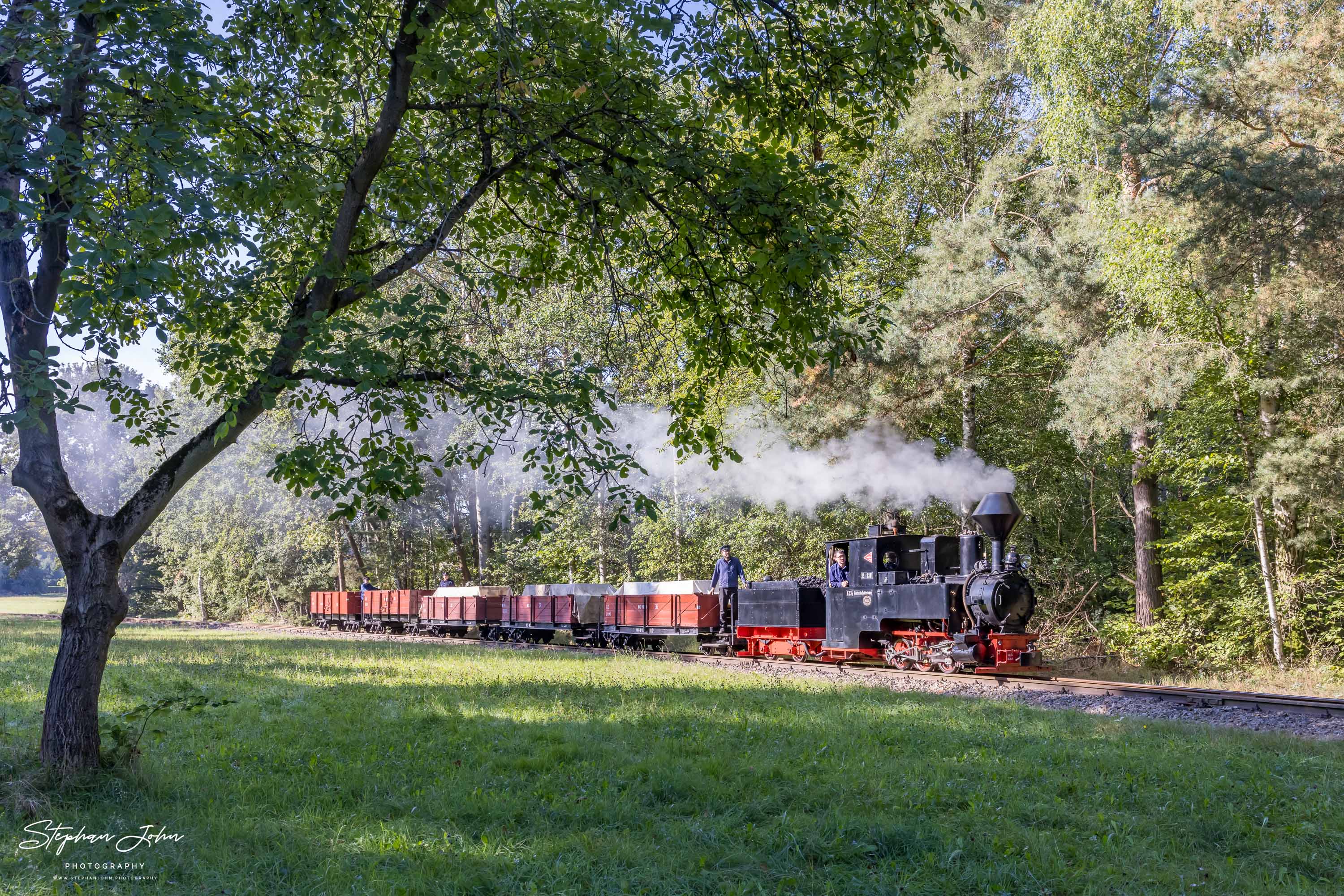 Lok 99 3301 'Graf Arnim' mit einem GmP auf dem Weg nach Bad Muskau