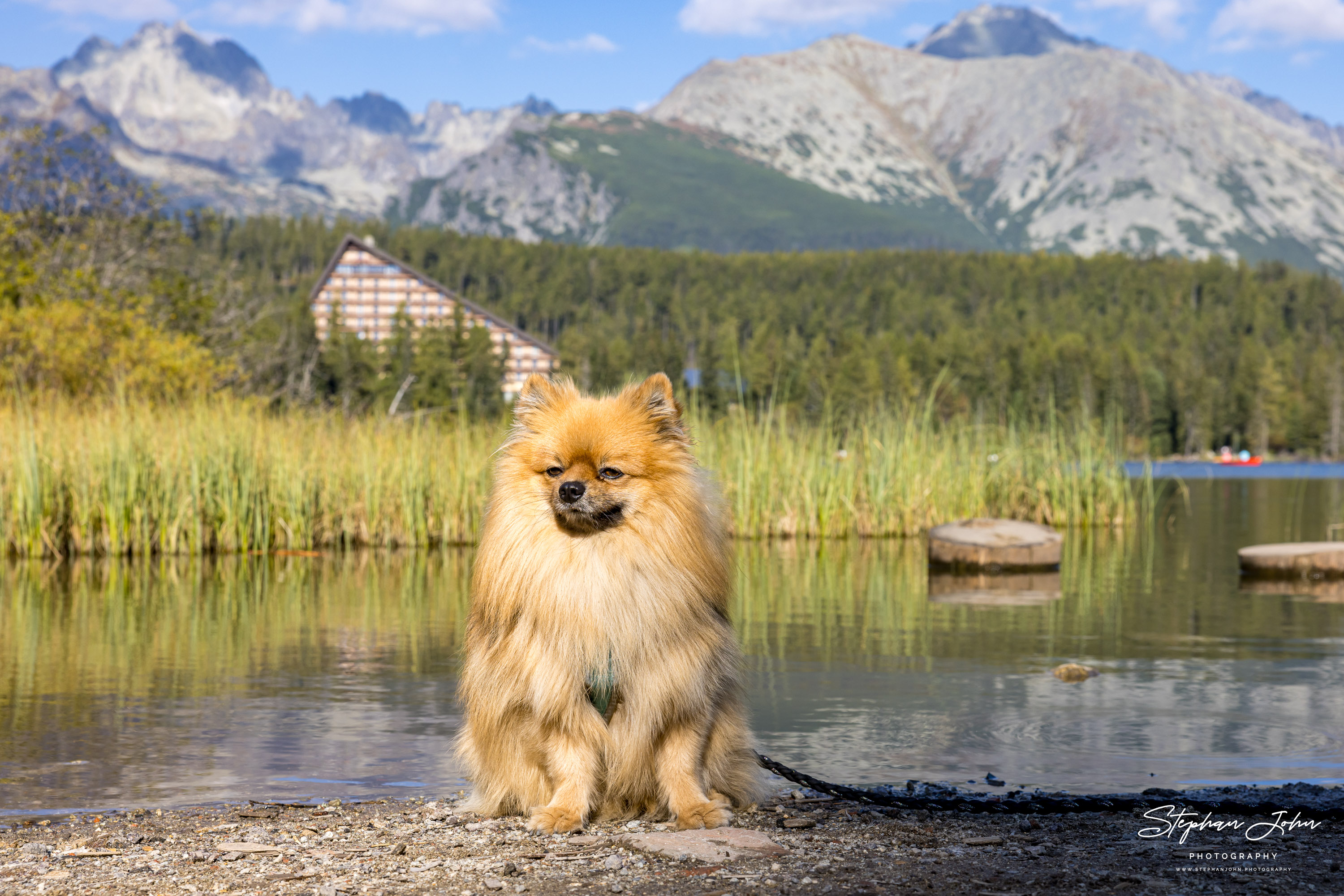 <p>Karli am Štrbské Pleso (Tschirmer See) in der Hohen Tatra</p>