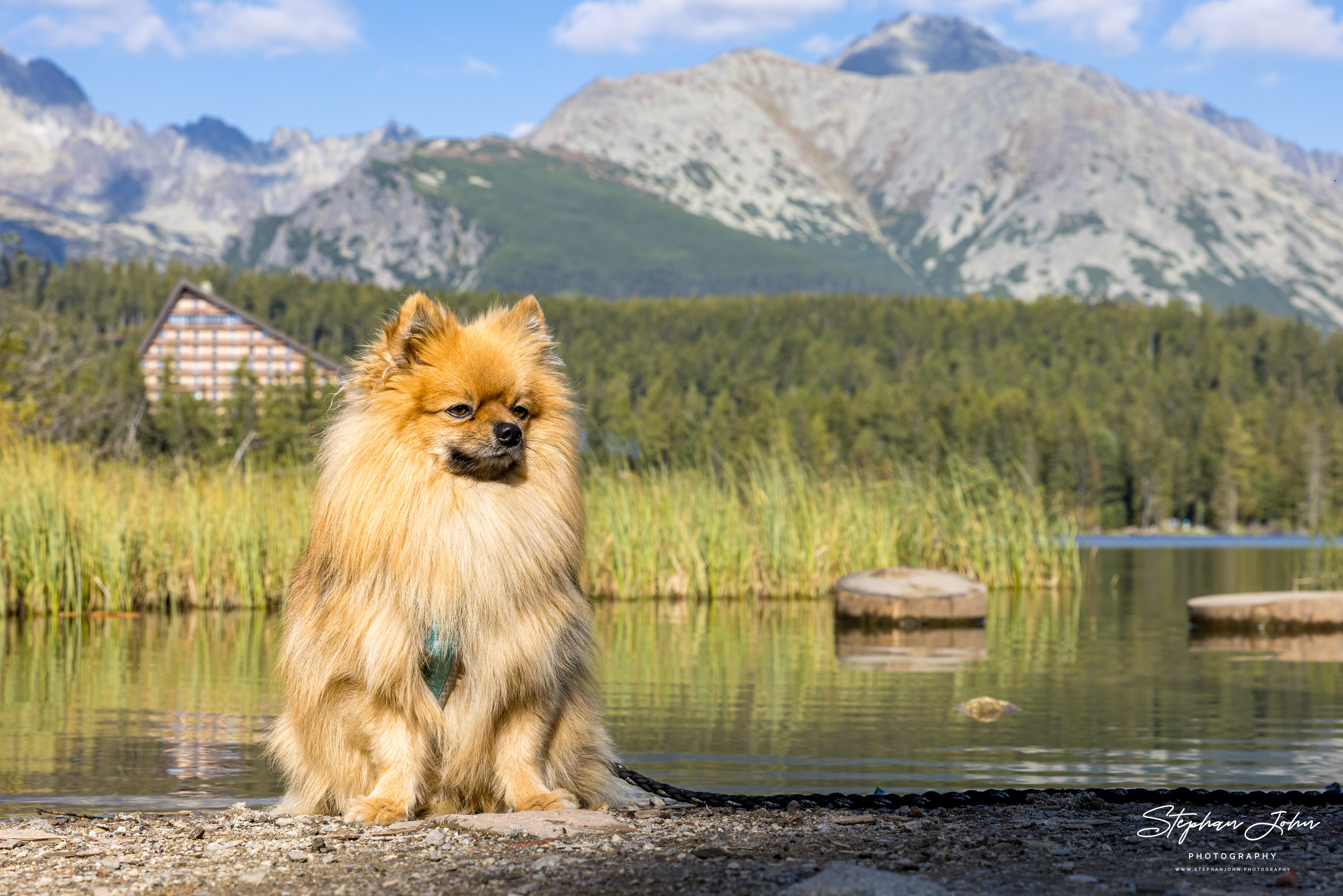 <p>Karli am Štrbské Pleso (Tschirmer See) in der Hohen Tatra</p>