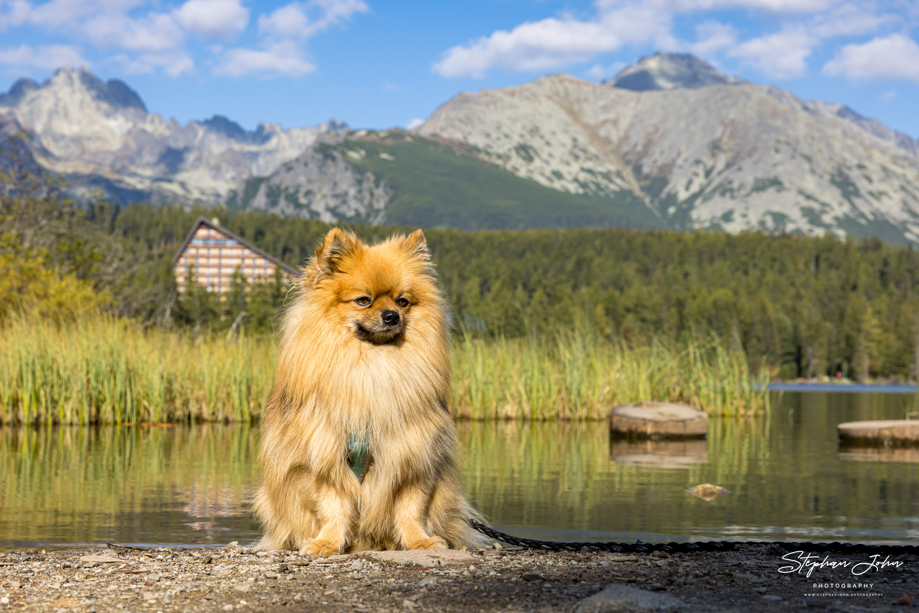 <p>Karli am Štrbské Pleso (Tschirmer See) in der Hohen Tatra</p>