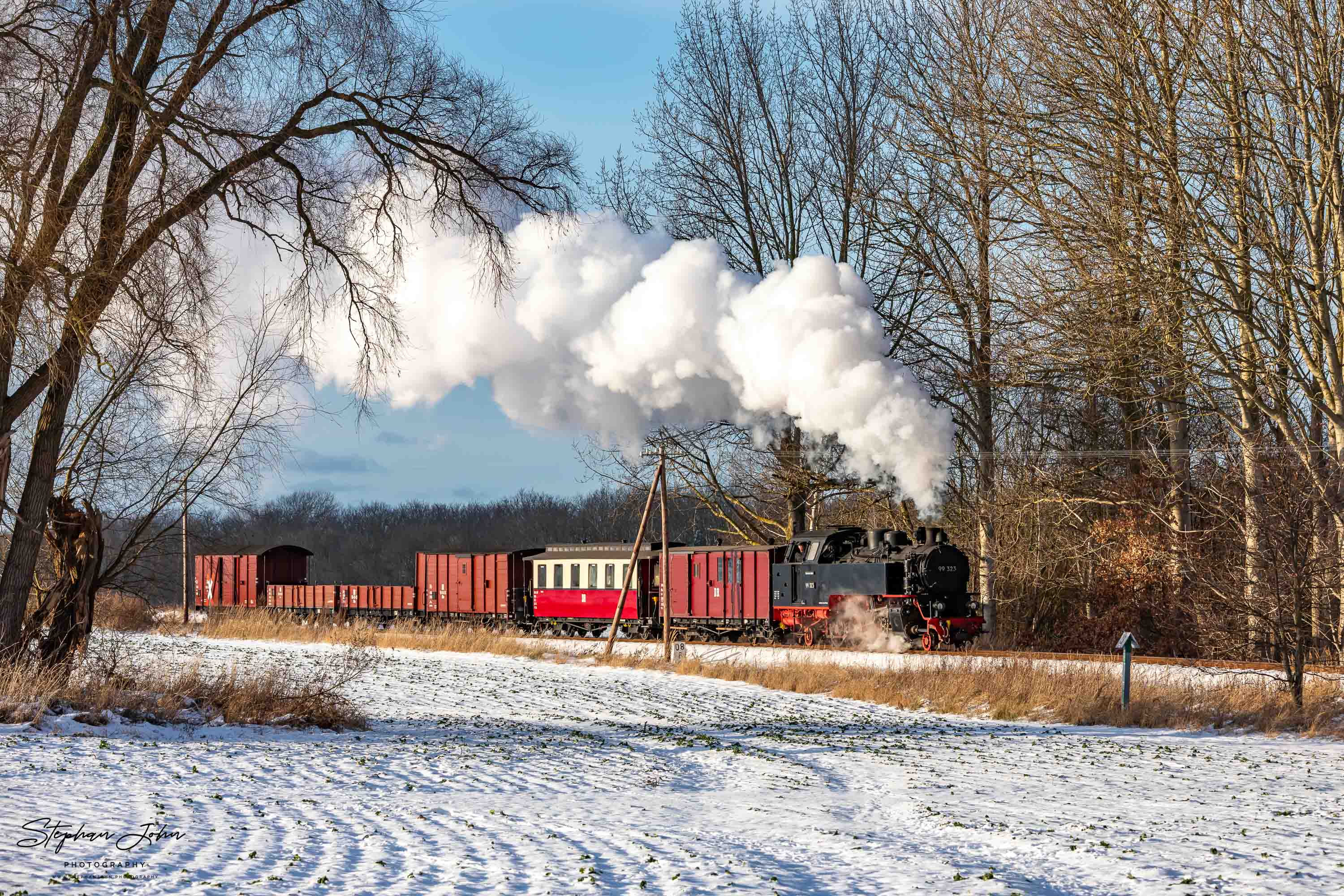 Winterdampf beim Molli