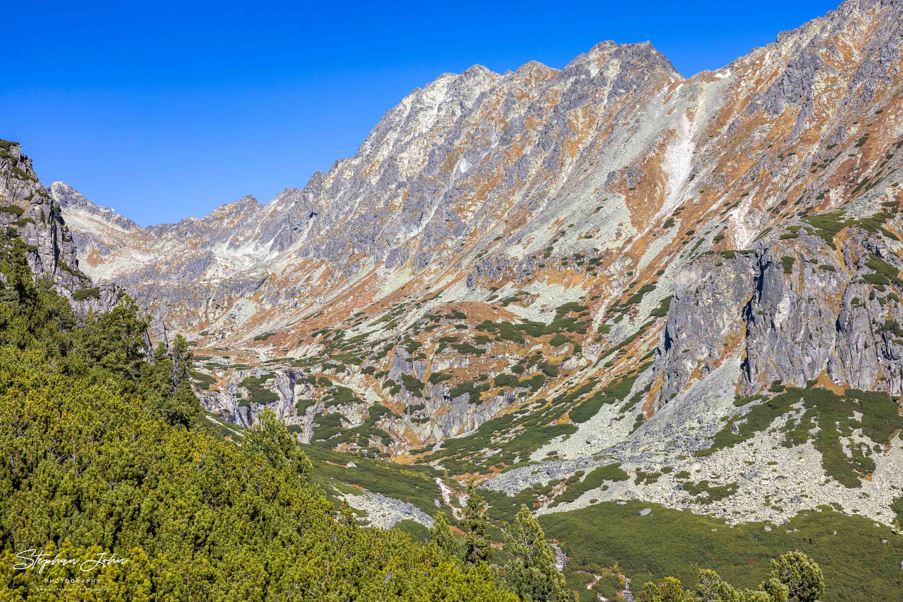 Hohe Felsflanke der Mlynická dolina mit hellen Schuttrinnen, braunen Grasbändern und grünen Latschen im Vordergrund.