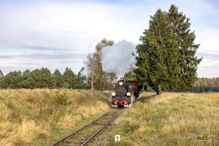 Albumfoto