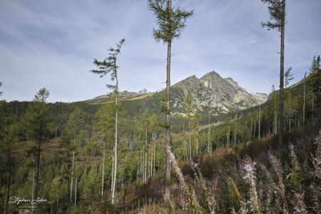 Hohe Tatra