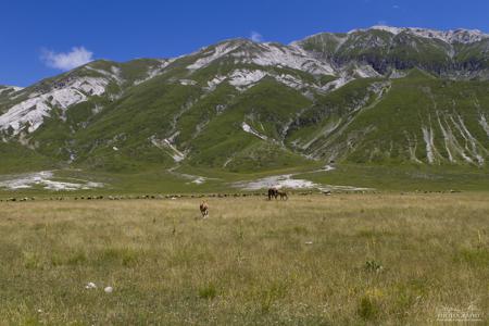 Campo Imperatore