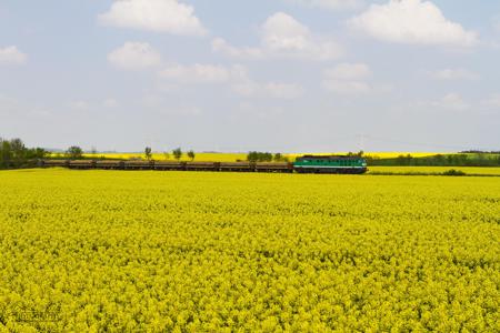 Sandzug nach Schmirchau