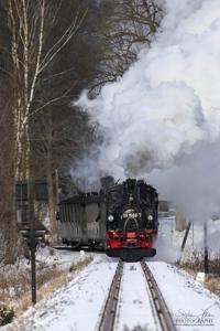 Preßnitztalbahn