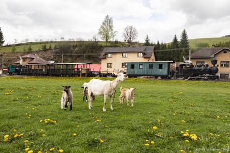 Waldbahn Čierny Balog