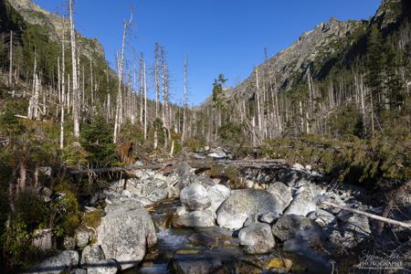 Vysoké Tatry